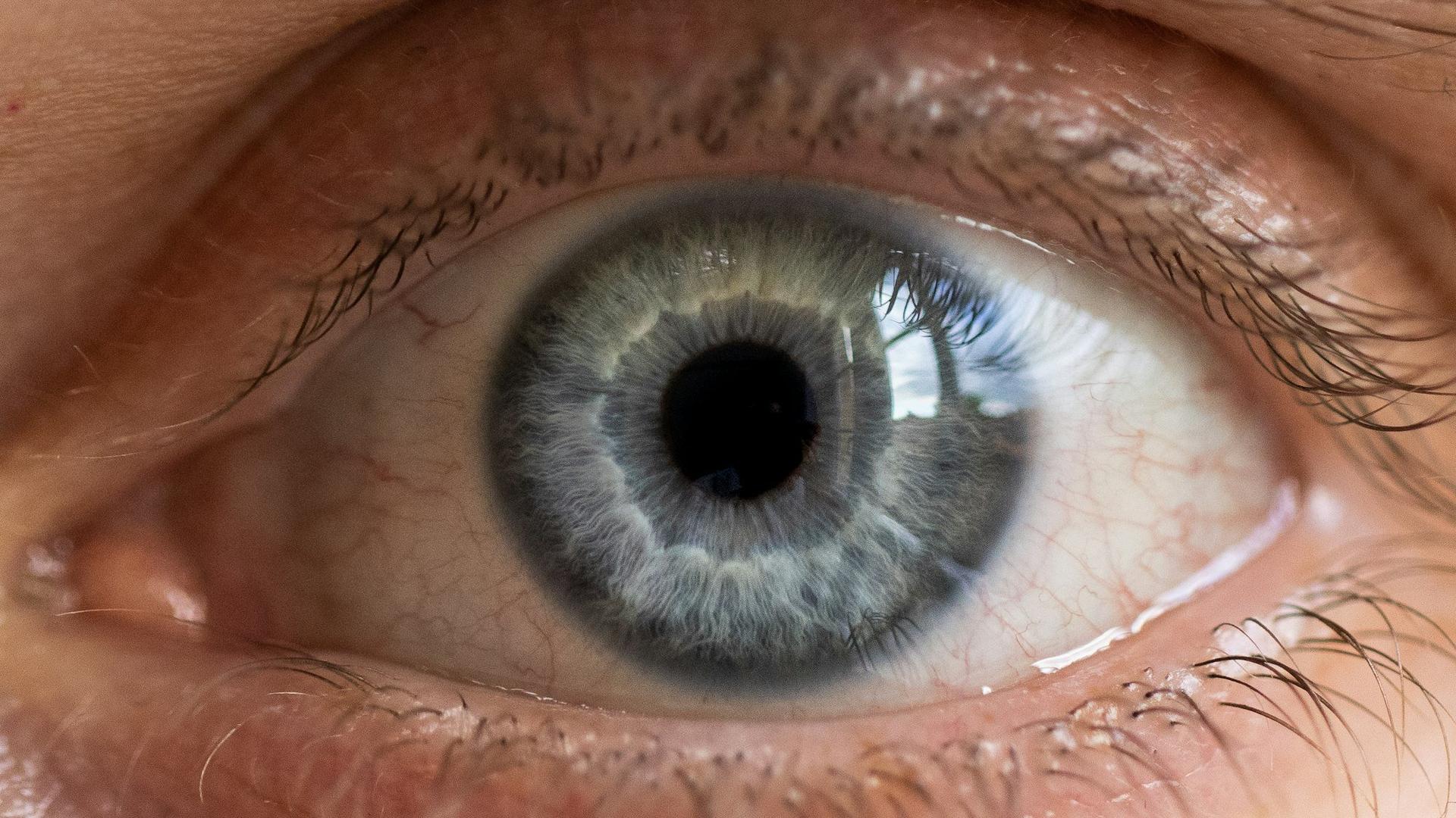 Gros plan sur un œil humain aux paupières légèrement rougies, évoquant une irritation