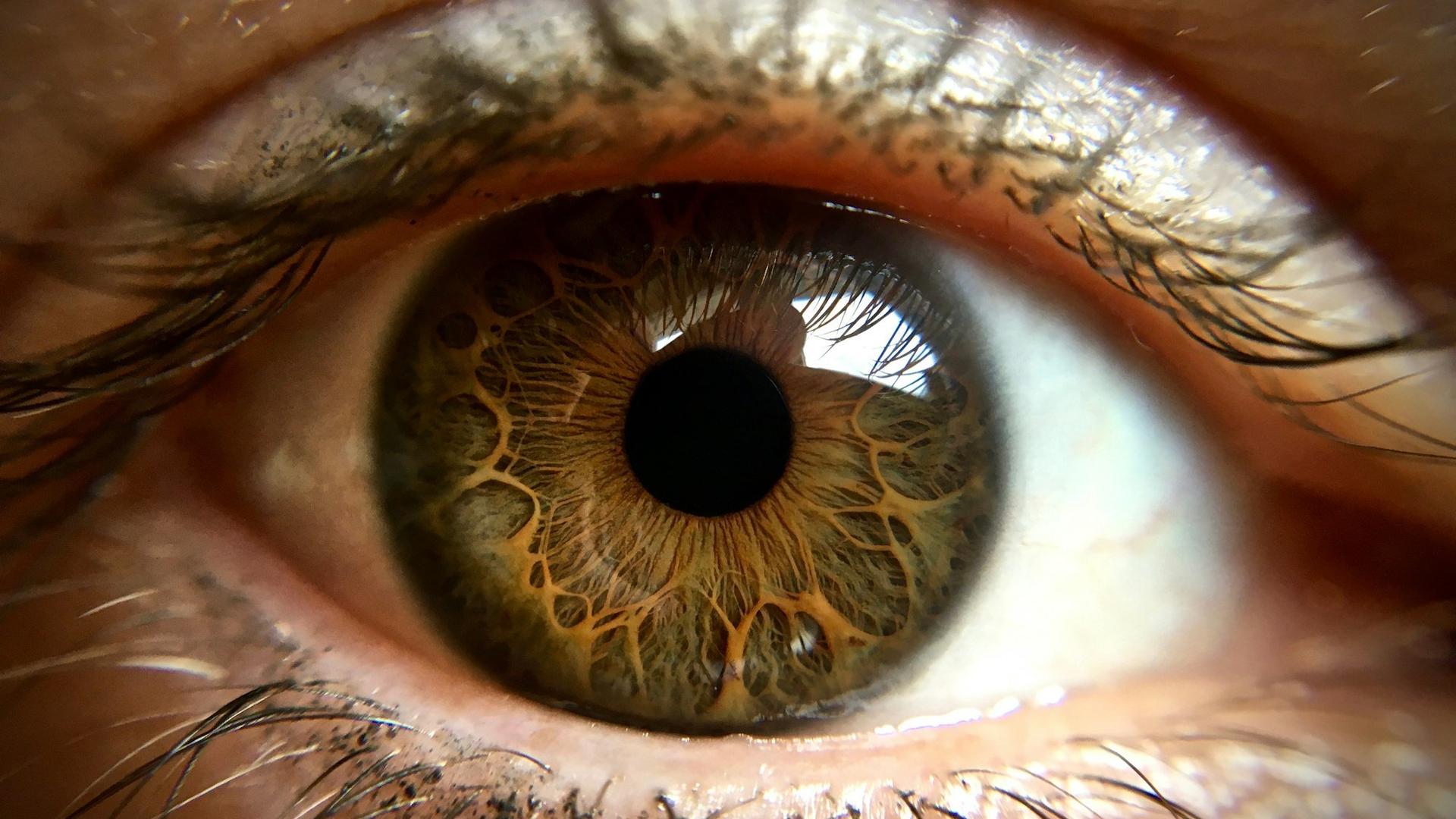 Gros plan sur l'œil d'une personne, pupille et iris bien visibles, illustrant les mouvements involontaires du nystagmus