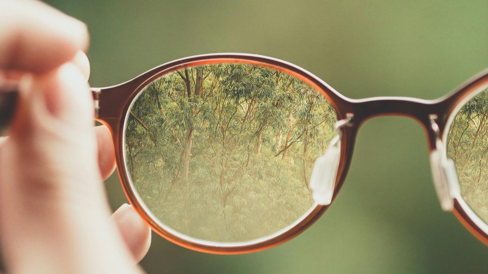 Lunettes de vue tenues à la main devant un fond de verdure