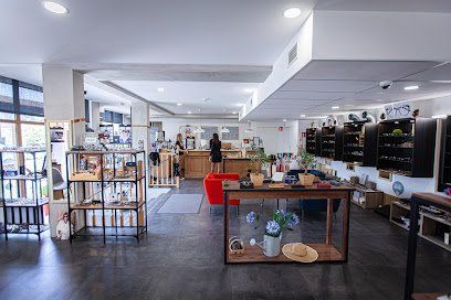 Façade de la boutique Prunelle Opticien-Lunetier, opticien indépendant à Bordeaux
