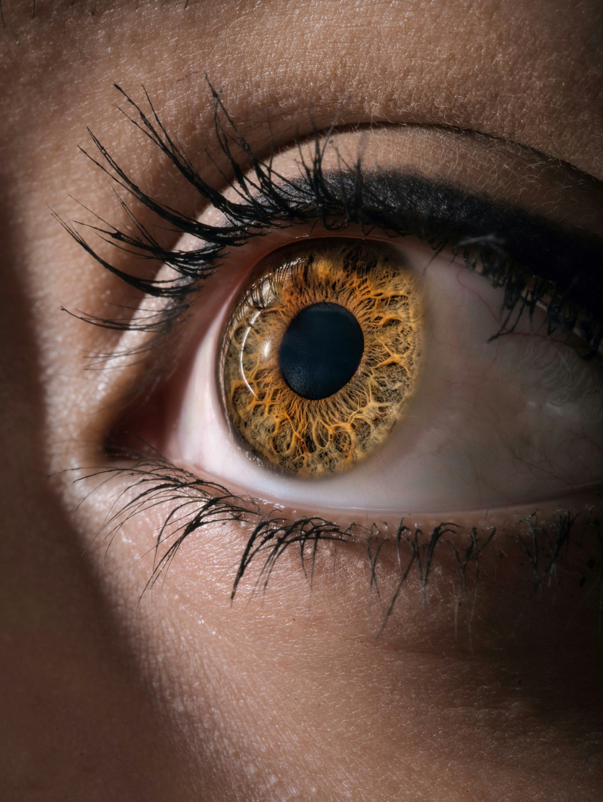 Gros plan extrême sur un œil humain à l'iris brun doré, la cornée et la pupille nettement visibles, pour illustrer l'anatomie de l'œil concernée par la kératite