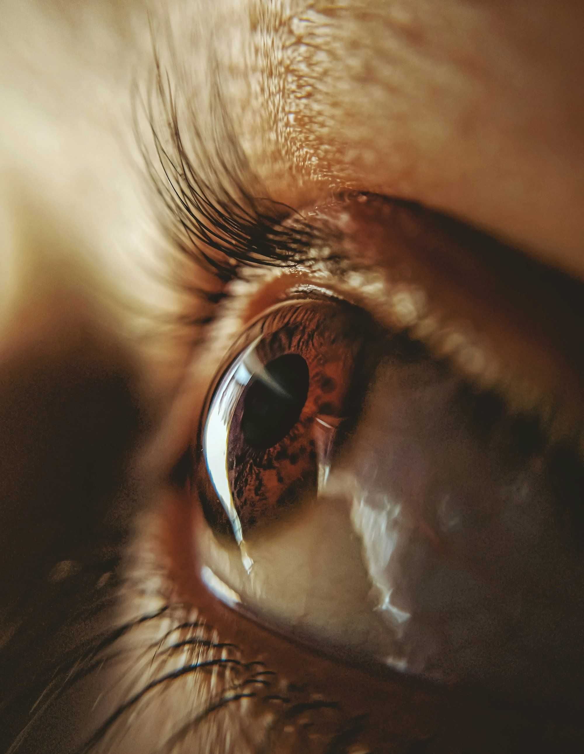 Œil brun photographié en très gros plan, évoquant l'examen des symptômes oculaires du nystagmus