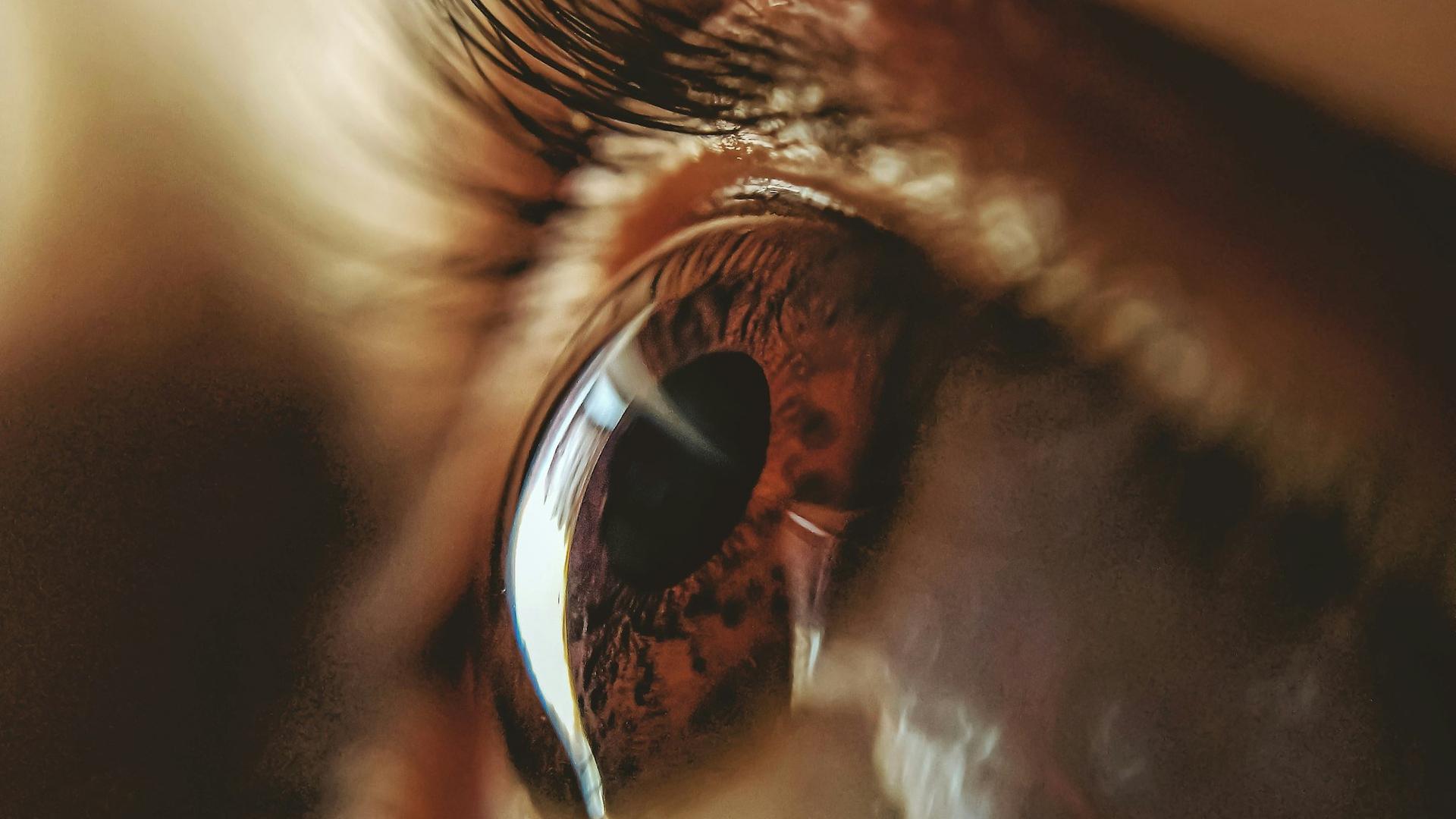 Œil brun photographié en très gros plan, évoquant l'examen des symptômes oculaires du nystagmus