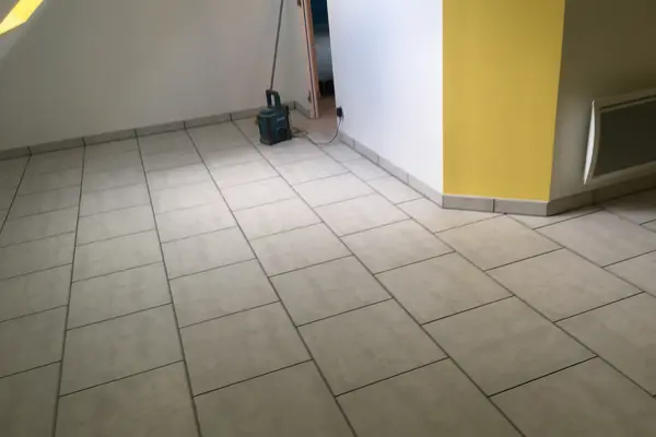 Pose de carrelage au sol et plinthes à Parigné-l'Évêque Pose de carrelage au sol et plinthes à Parigné-l'Évêque - 1 sur 6