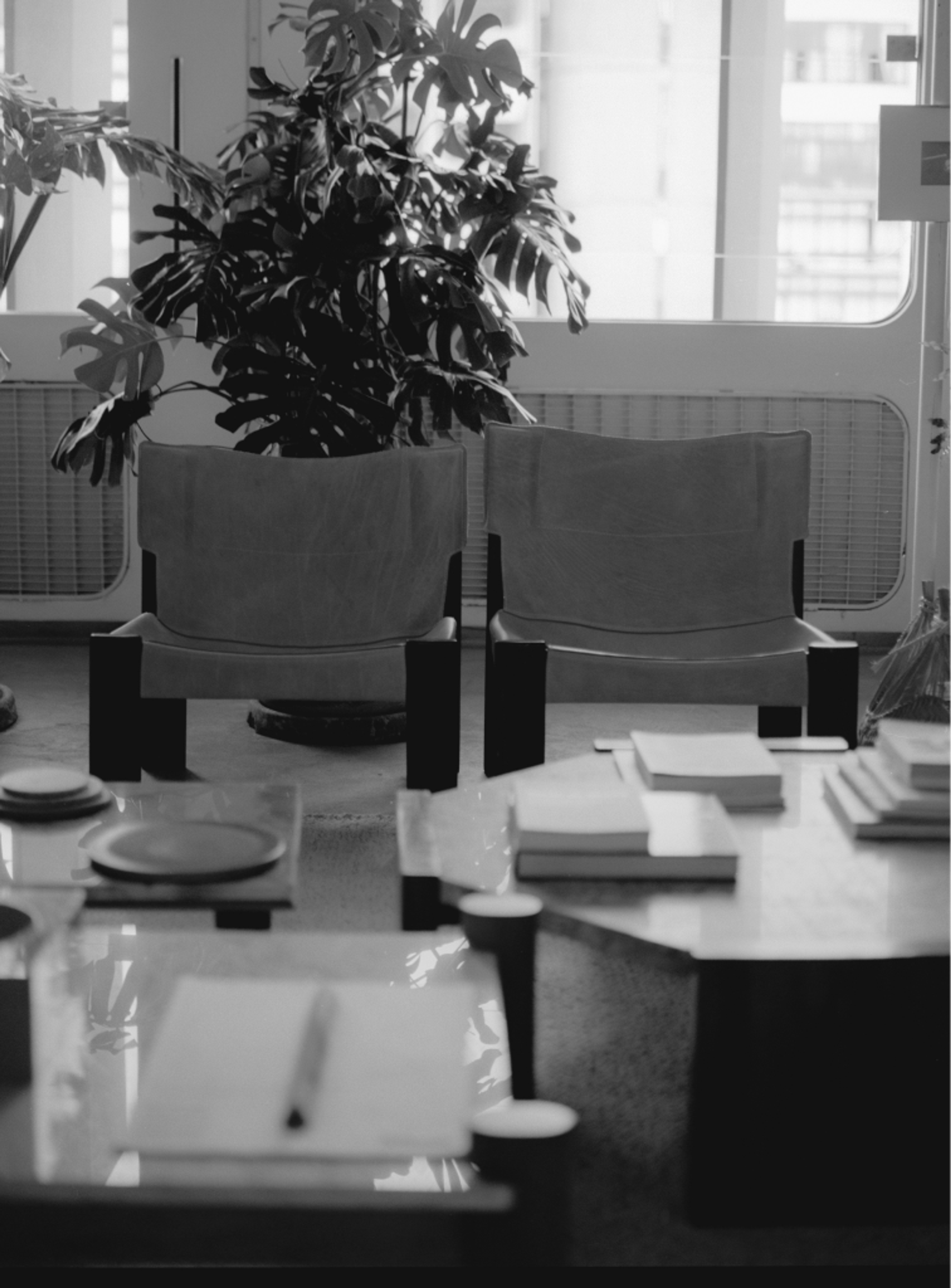 Two chairs and a plant in the TOTTTAL studio.