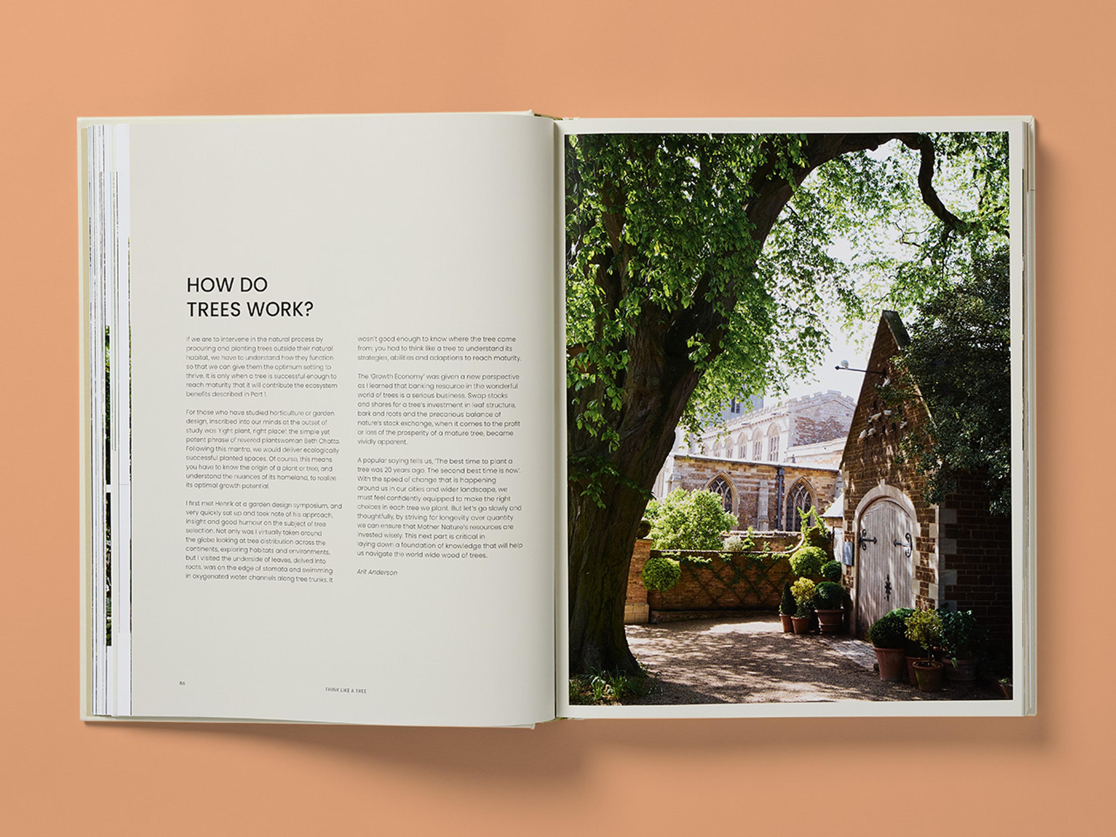 Open spread from The Essential Tree Selection Guide, featuring a photograph of trees and explanatory text.