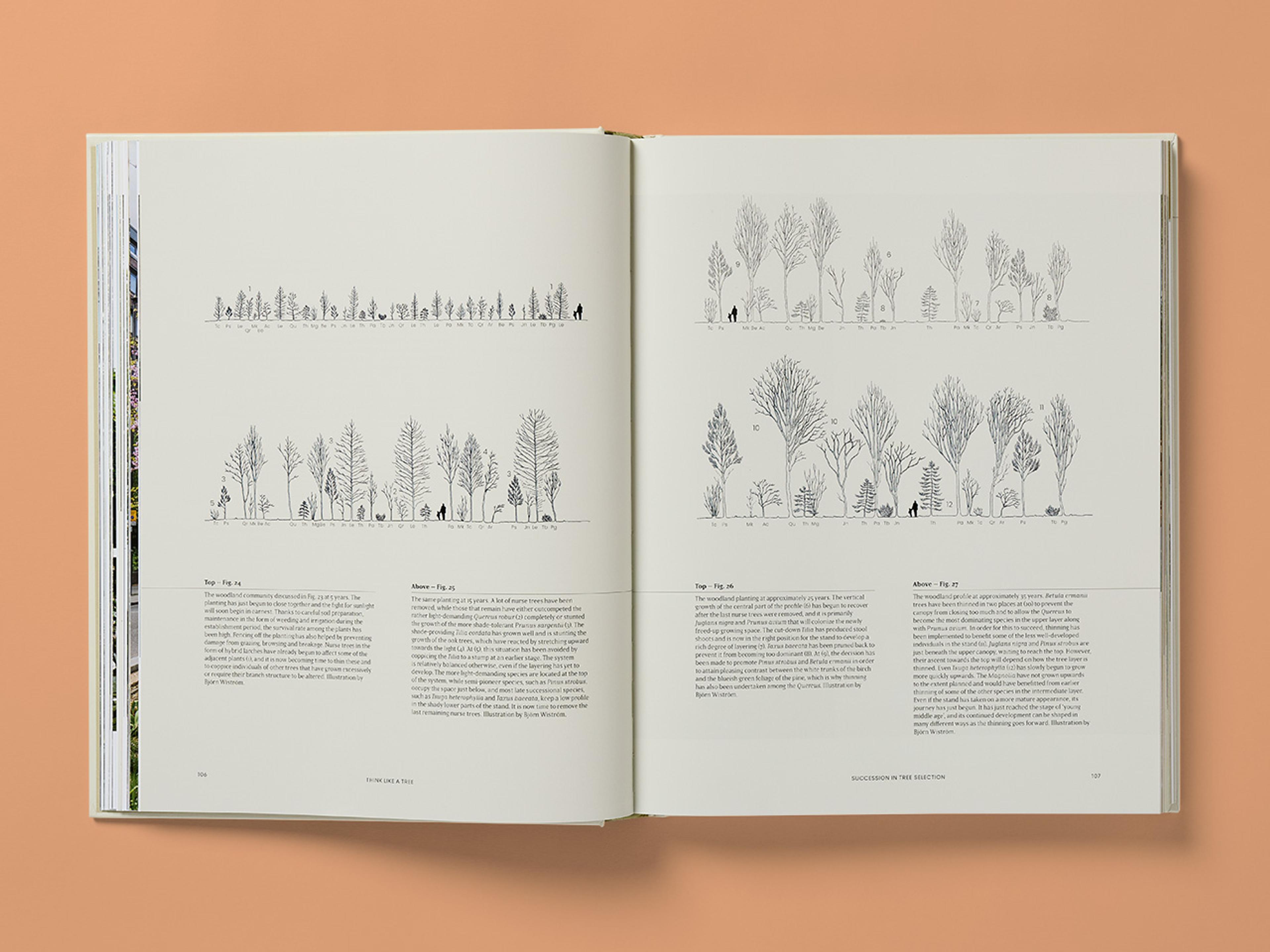 Open spread from The Essential Tree Selection Guide, featuring illustrations of various trees and explanatory text.