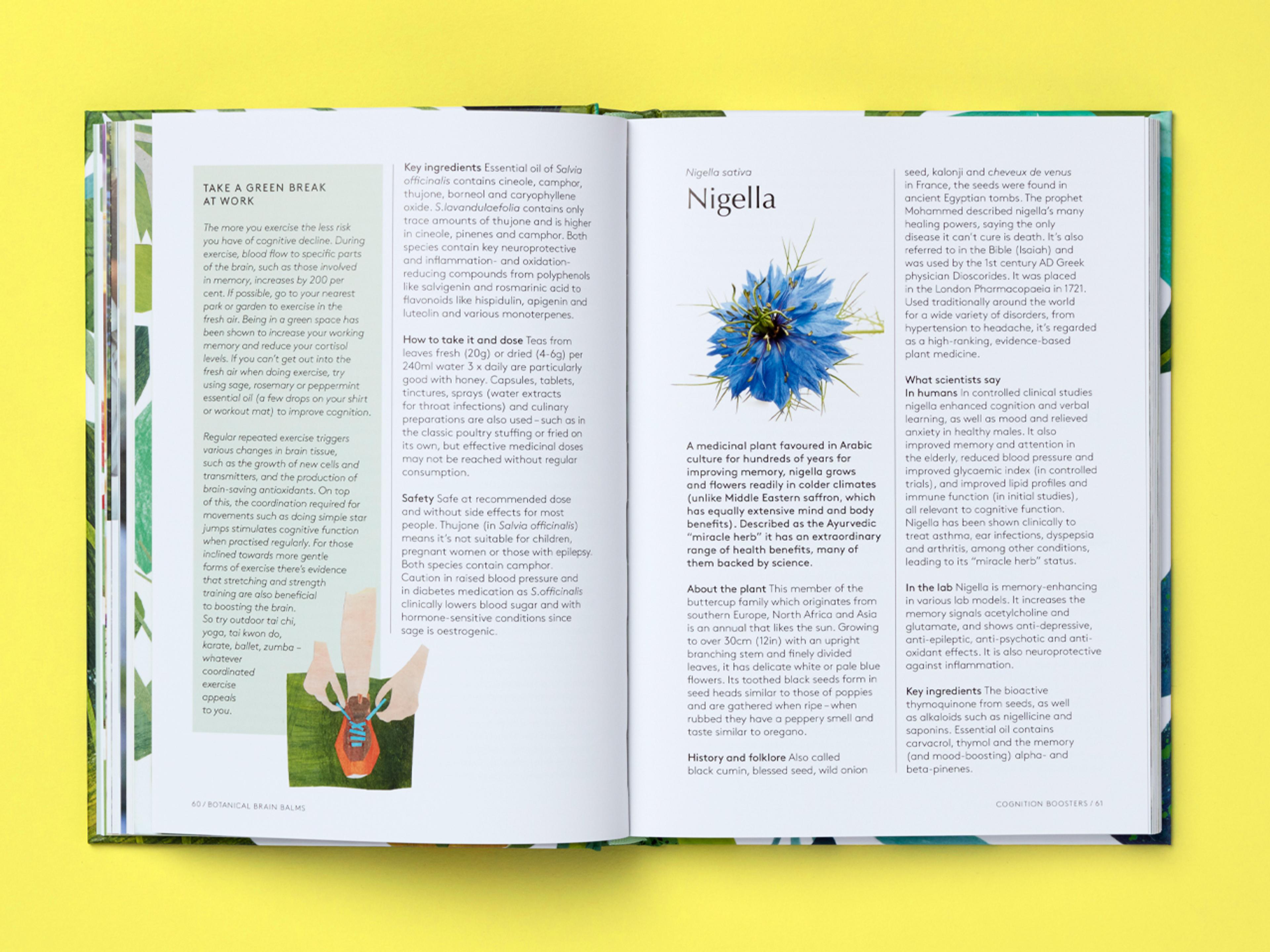 Open spread of the book Botanical Brain Balms.
