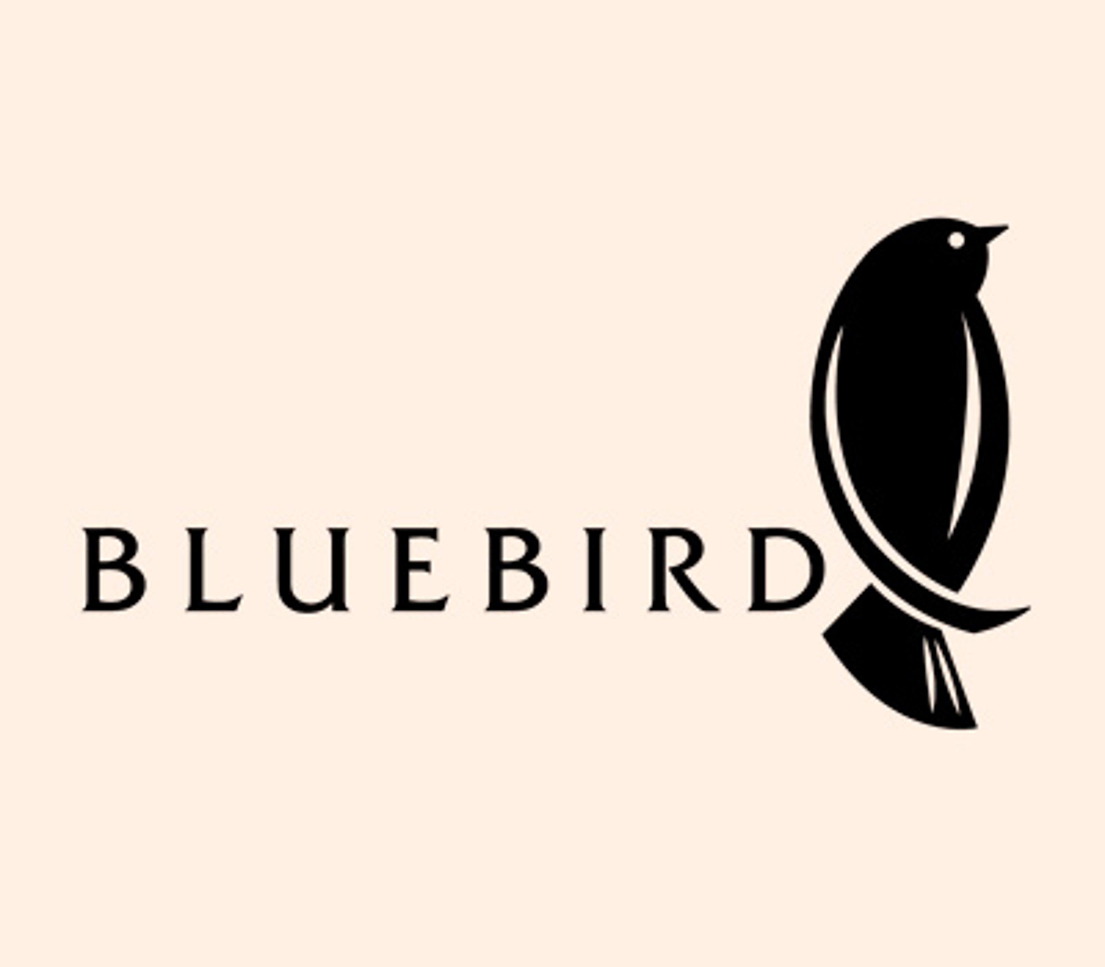 Logo of Bluebird Publishing.