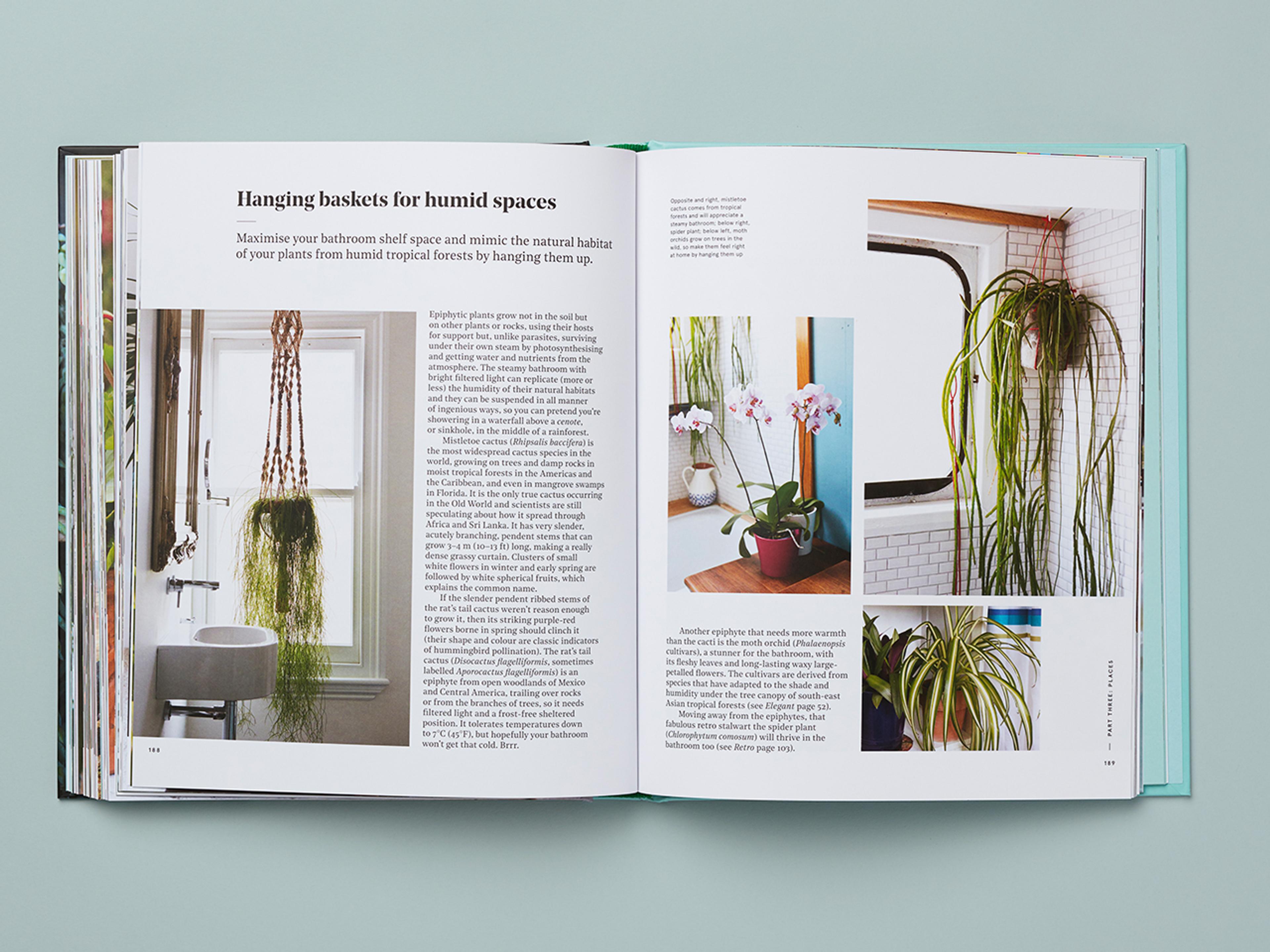 Open spread of Get Plants.