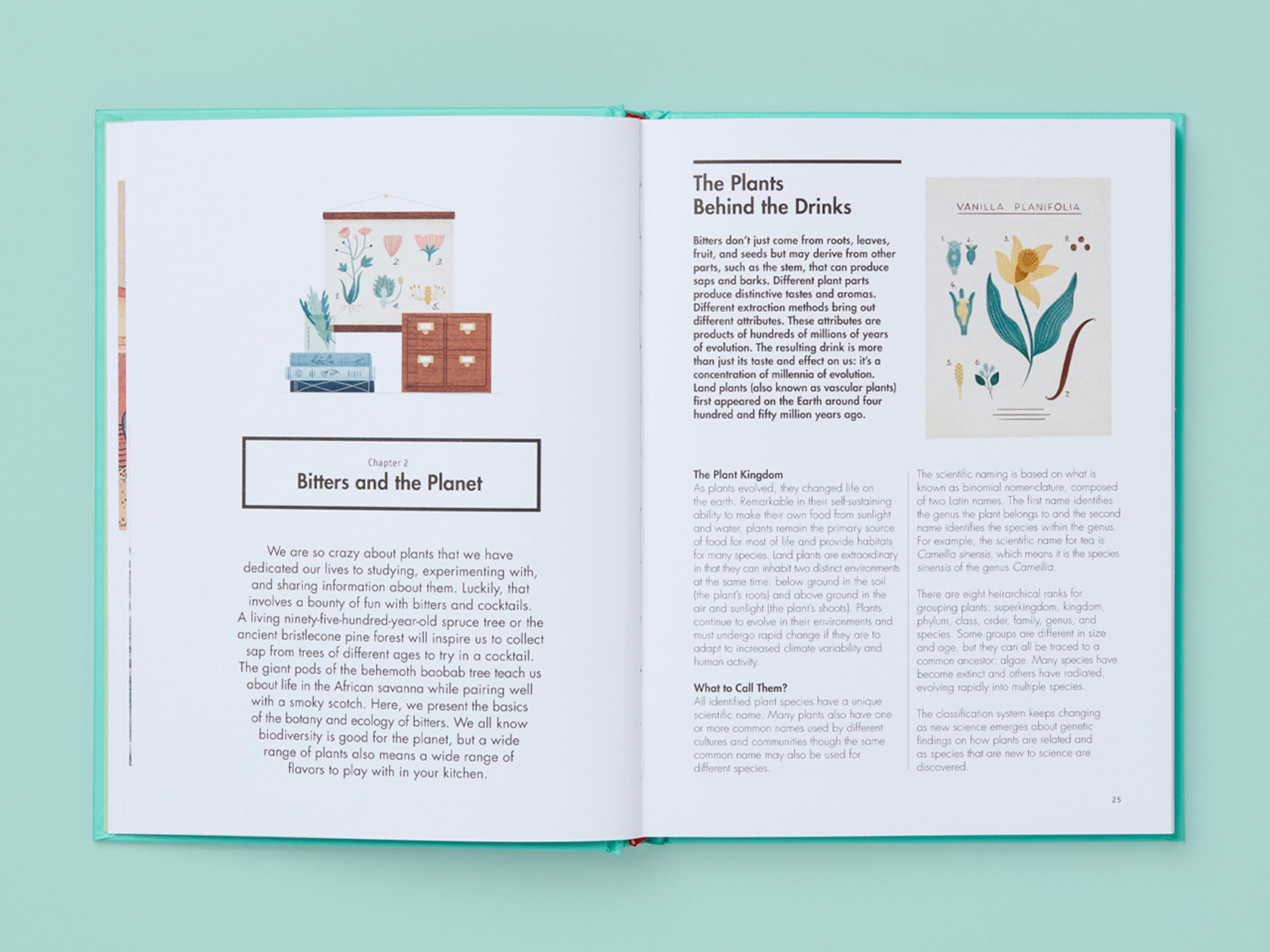 Open book spread from Botany at the Bar. Left page shows Chapter 2 title “Bitters and the Planet” with a small botanical cabinet illustration above body text. Right page features the heading “The Plants Behind the Drinks,” a column of explanatory text, and a botanical plate labelled “Vanilla planifolia,” with page number 25.