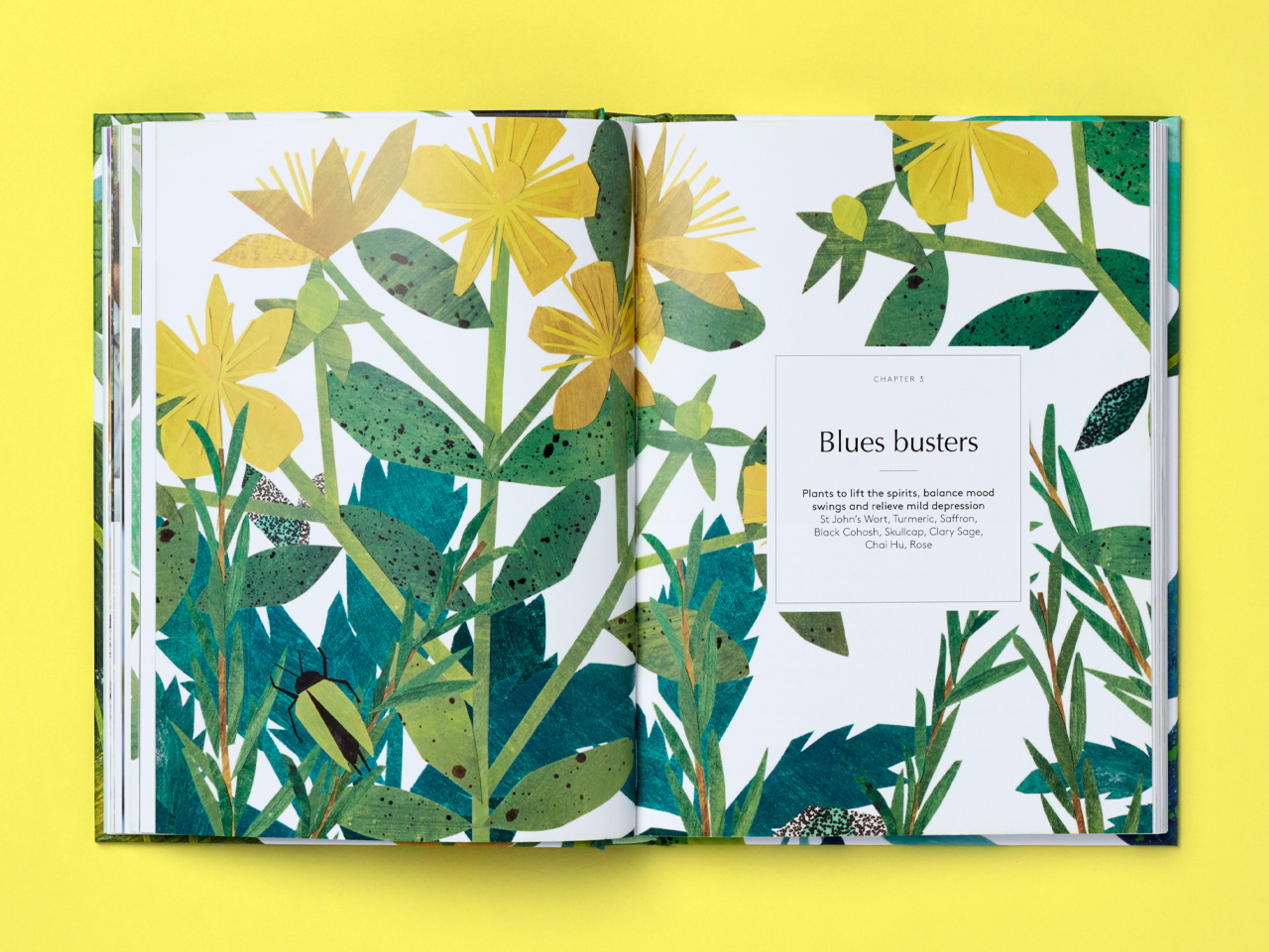 Open spread of the book Botanical Brain Balms.