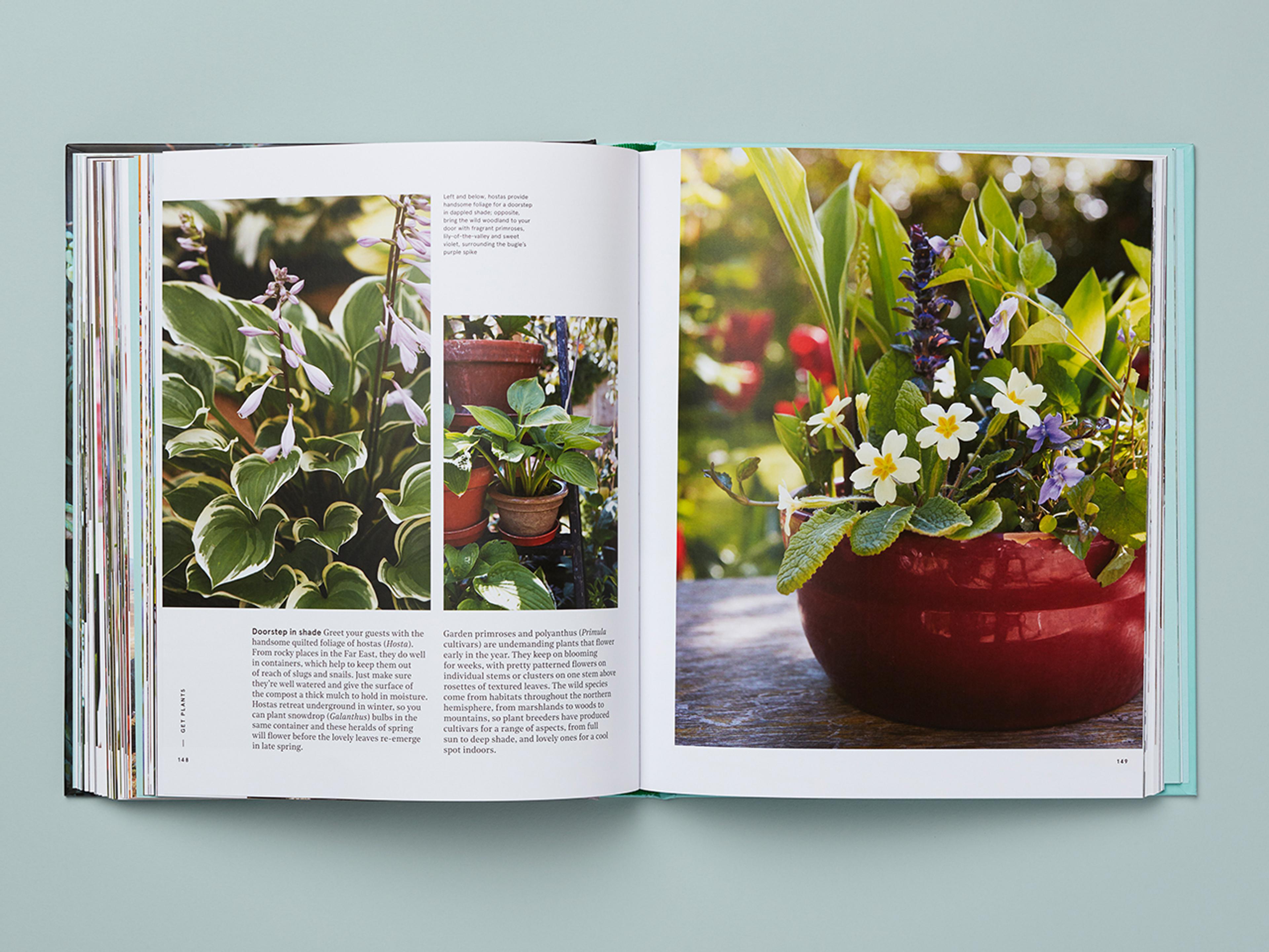 Open spread of Get Plants.