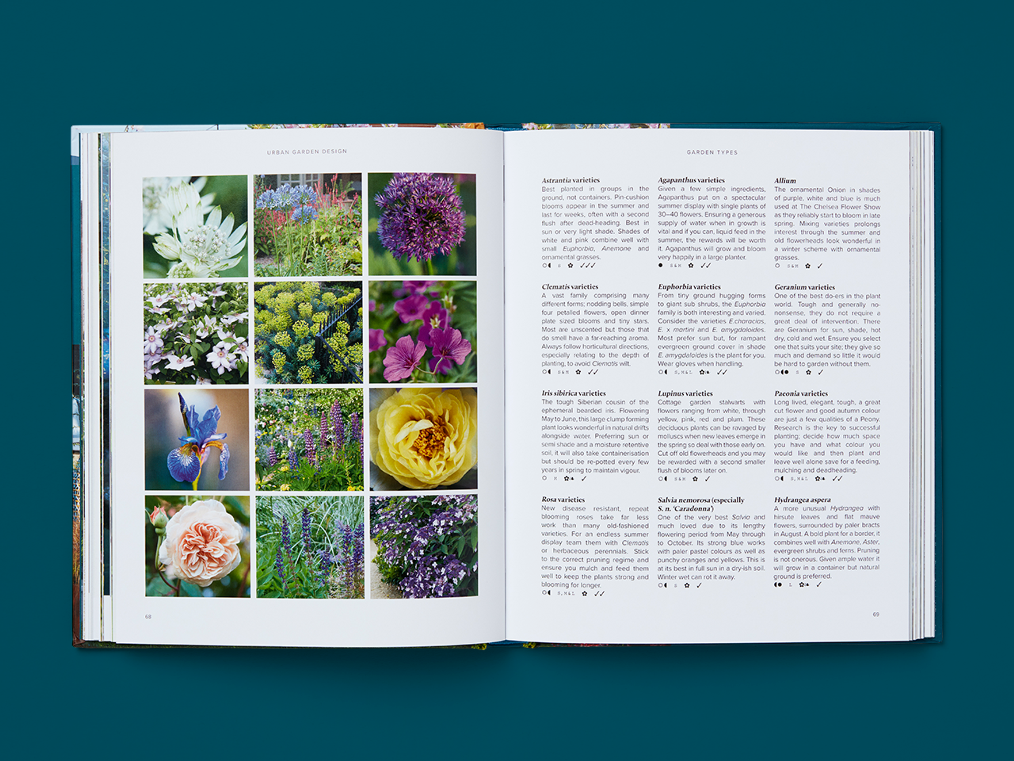 Open spread of the book Urban Garden Design.