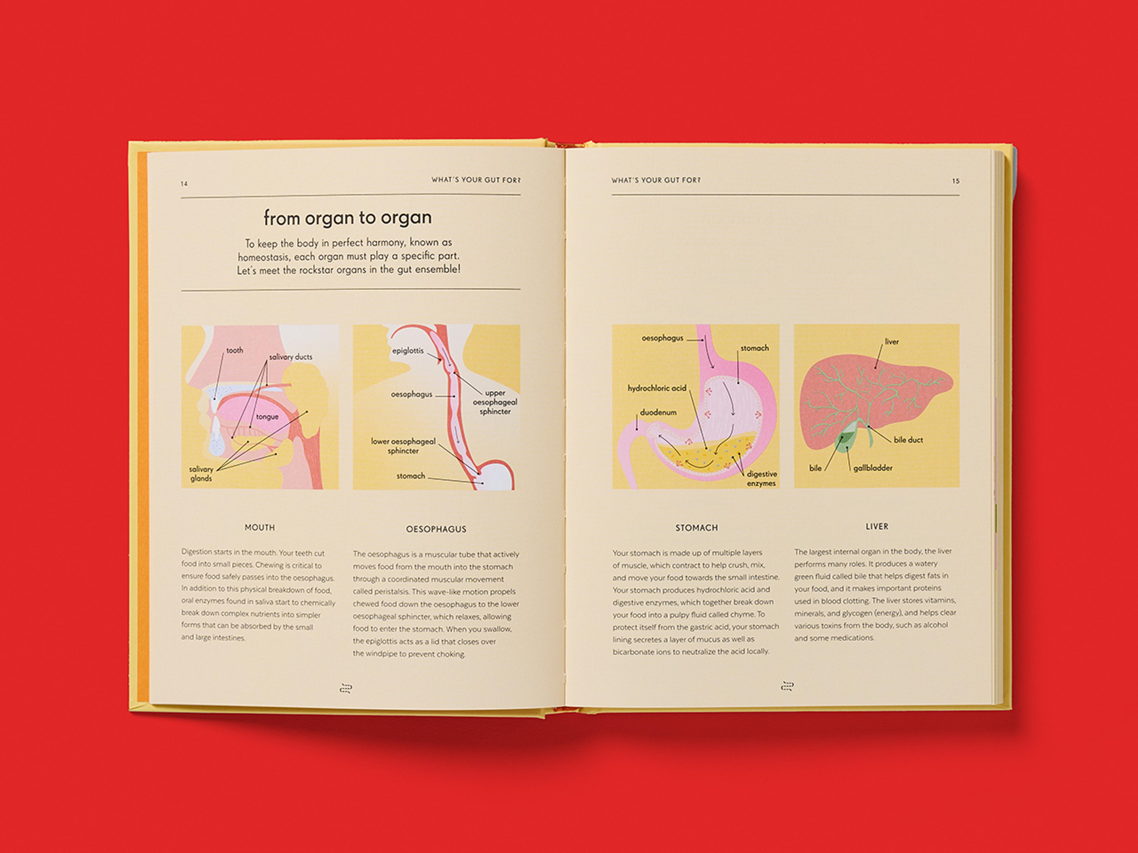 Open spread of the book Gut: An Owner's Guide.