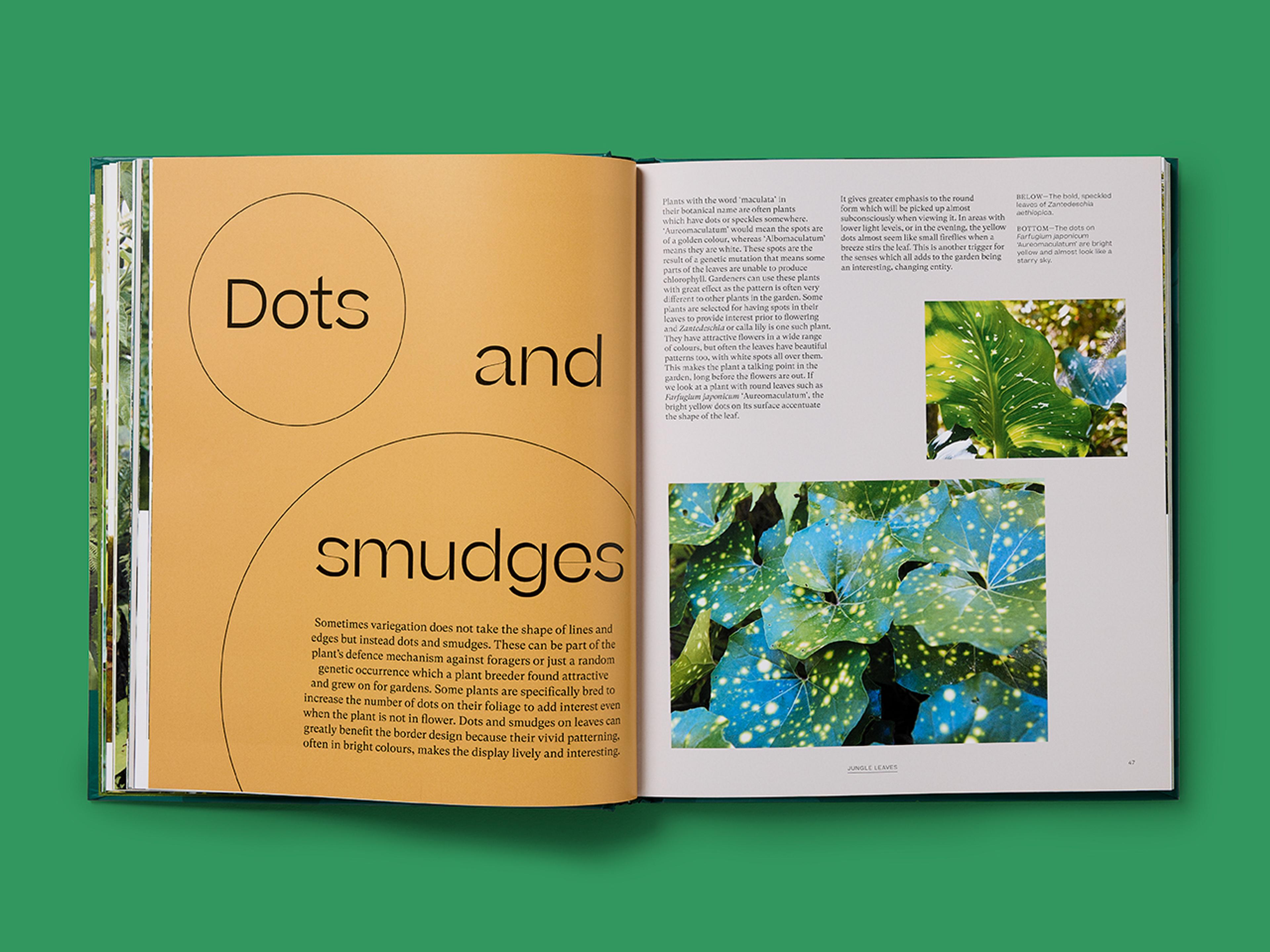 Open spread of The Jungle Garden titled "Dots and smudges" with text and photographs of leaves.