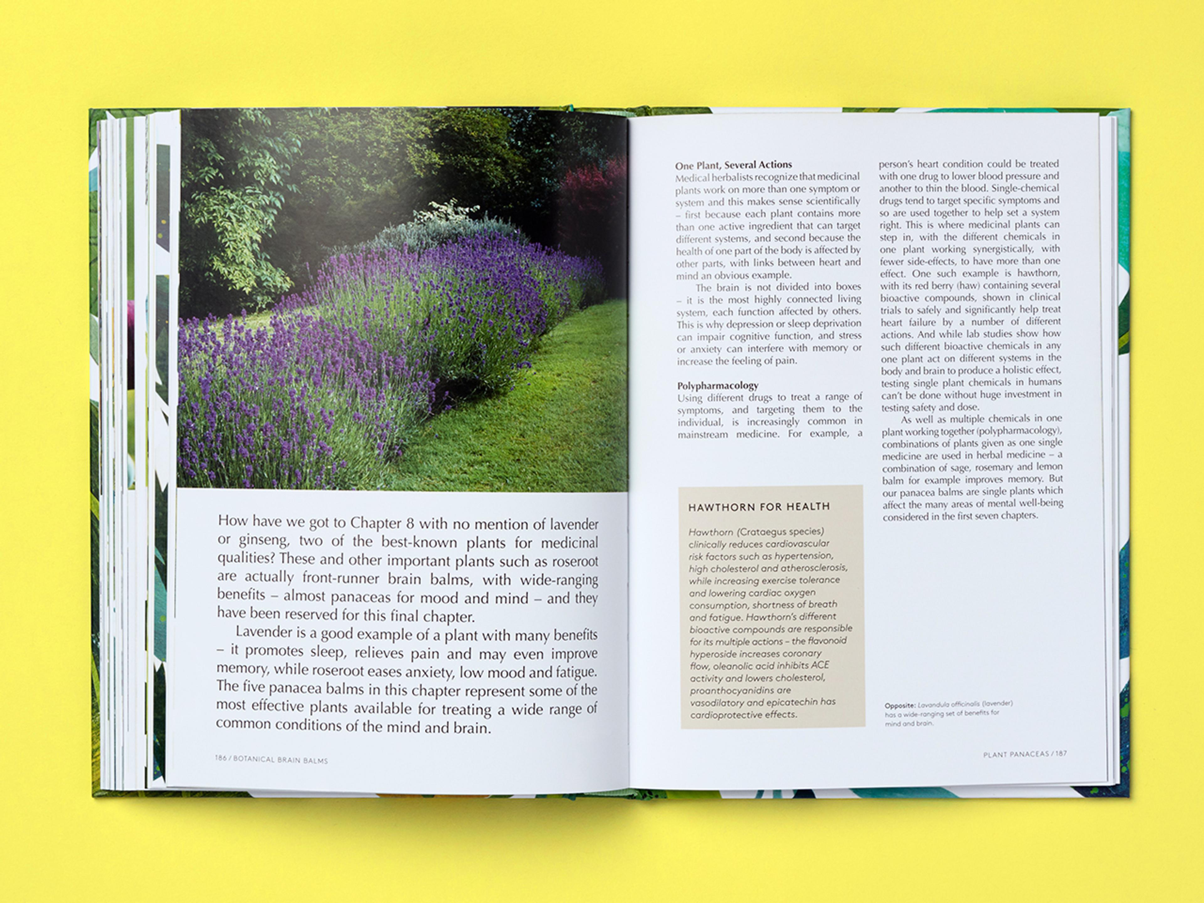 Open spread of the book Botanical Brain Balms.