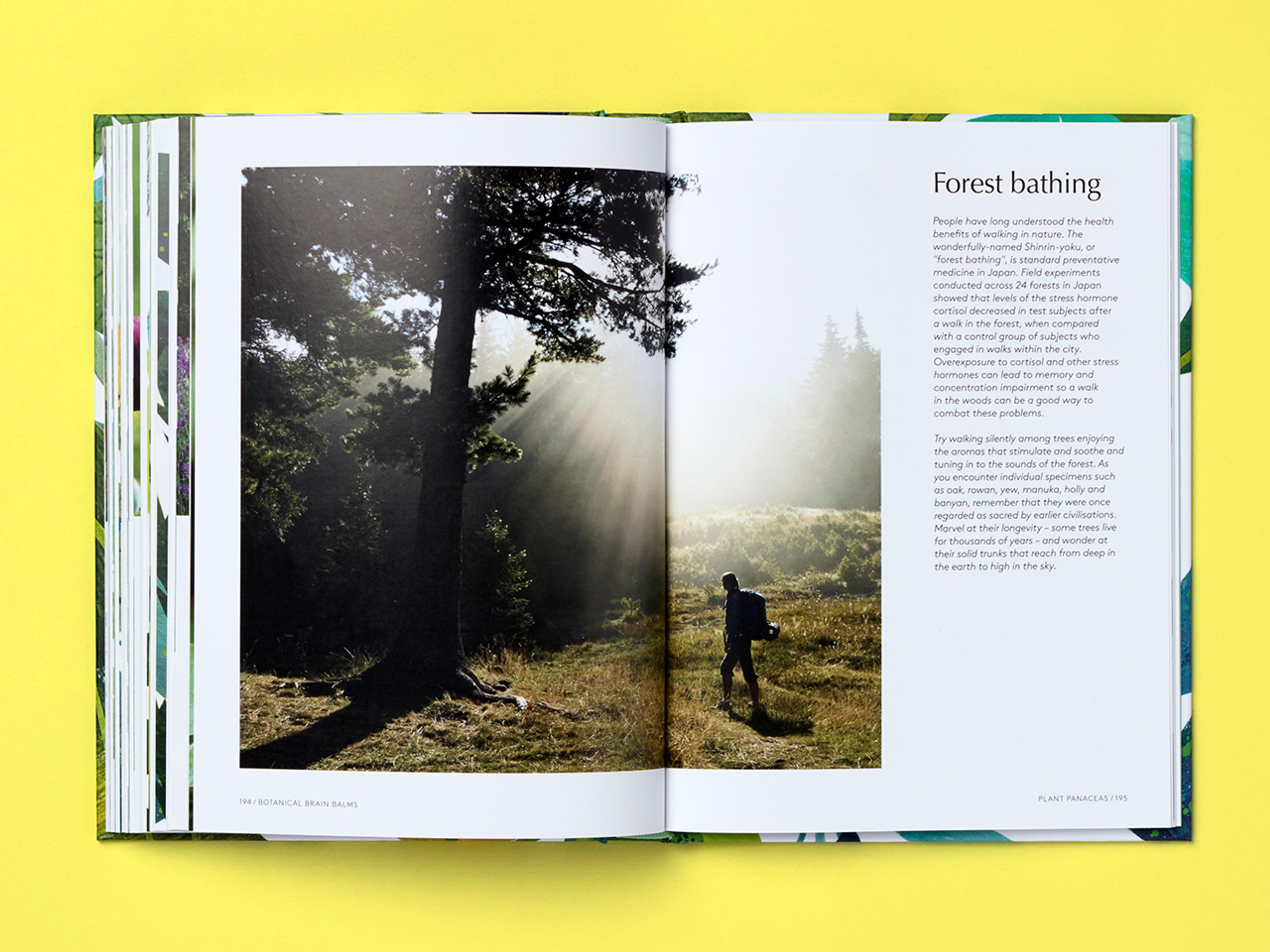 Open spread of the book Botanical Brain Balms.