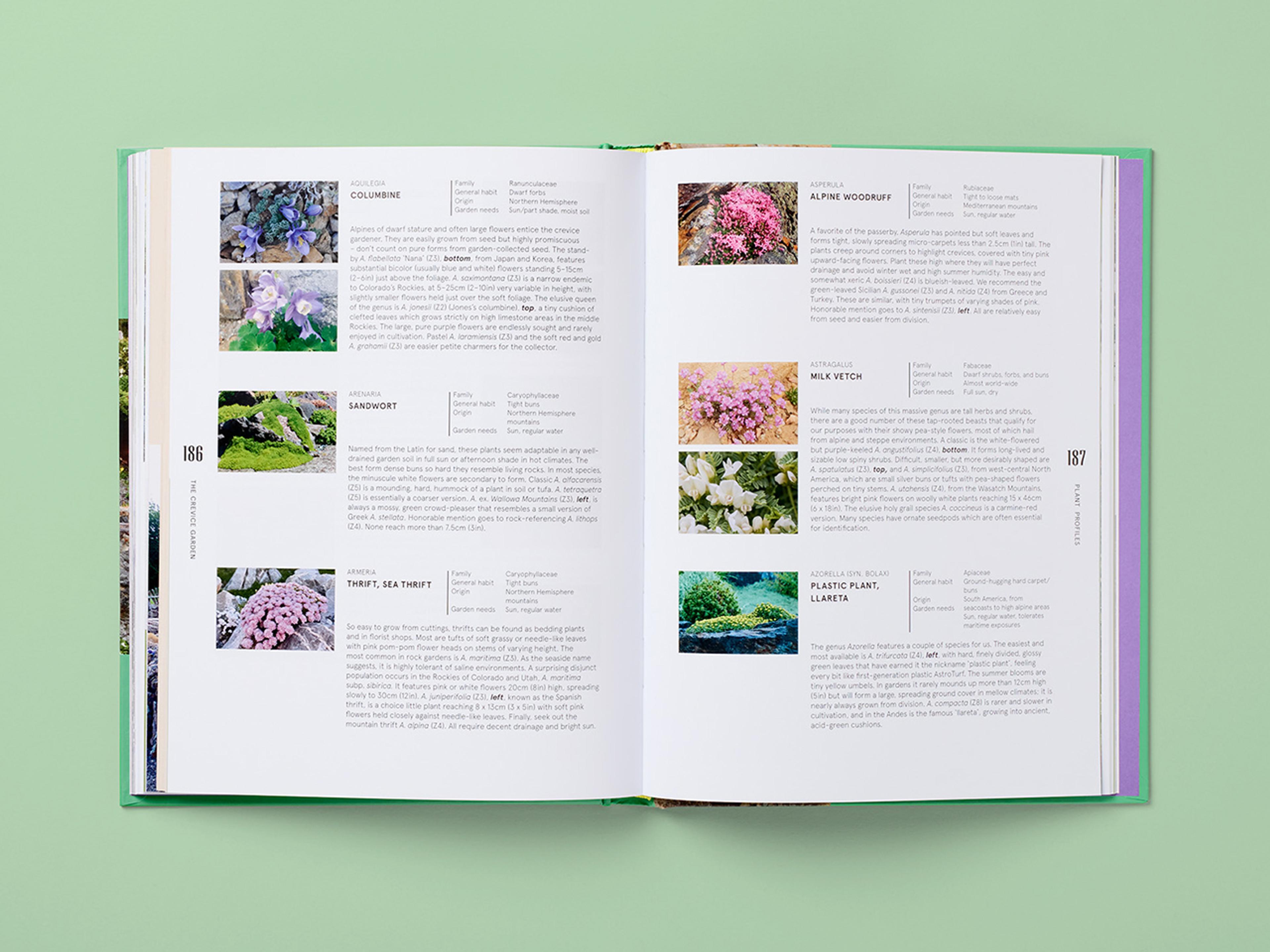 Open spread of the book The Crevice Garden.
