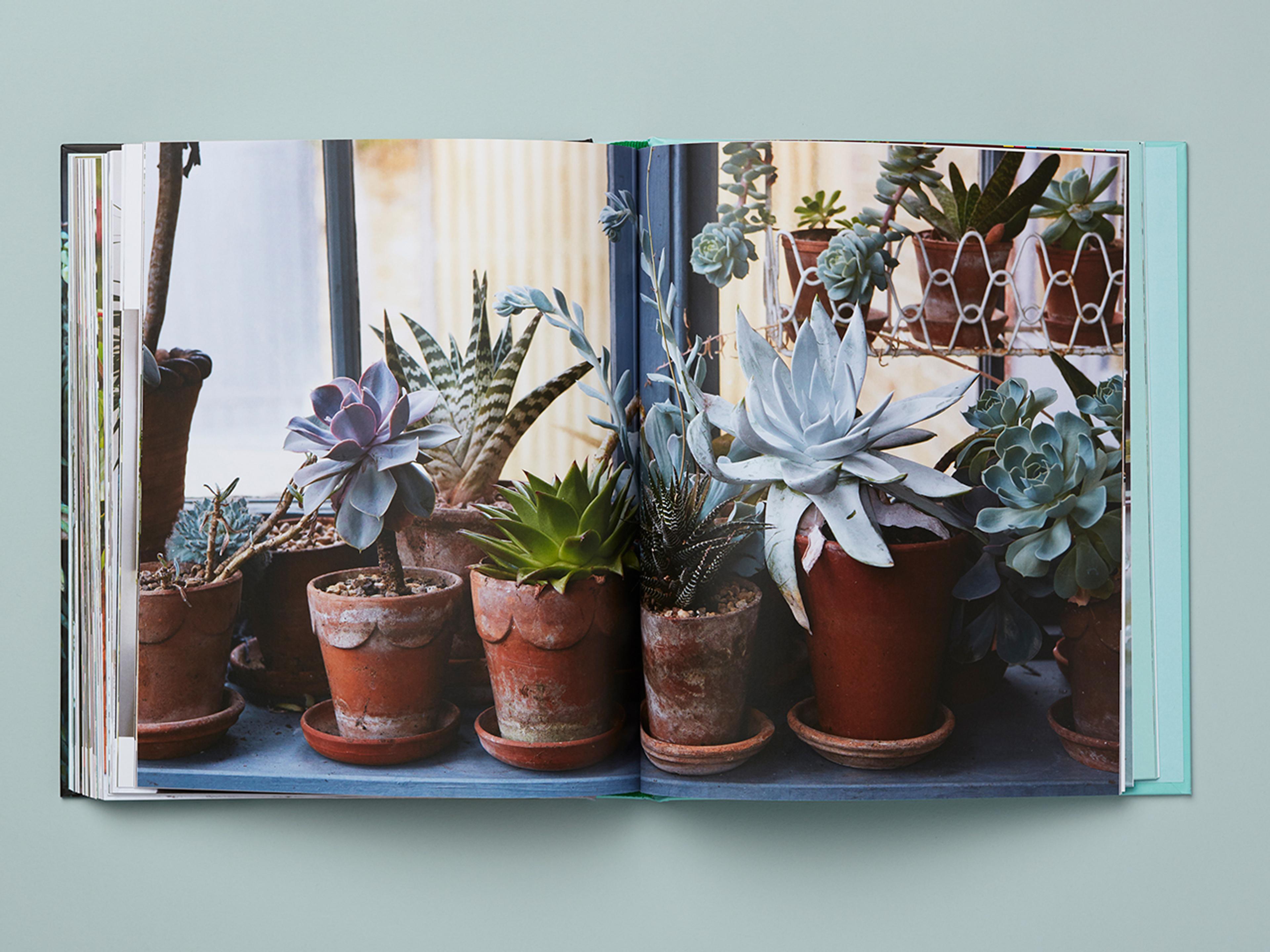 Open spread of Get Plants.