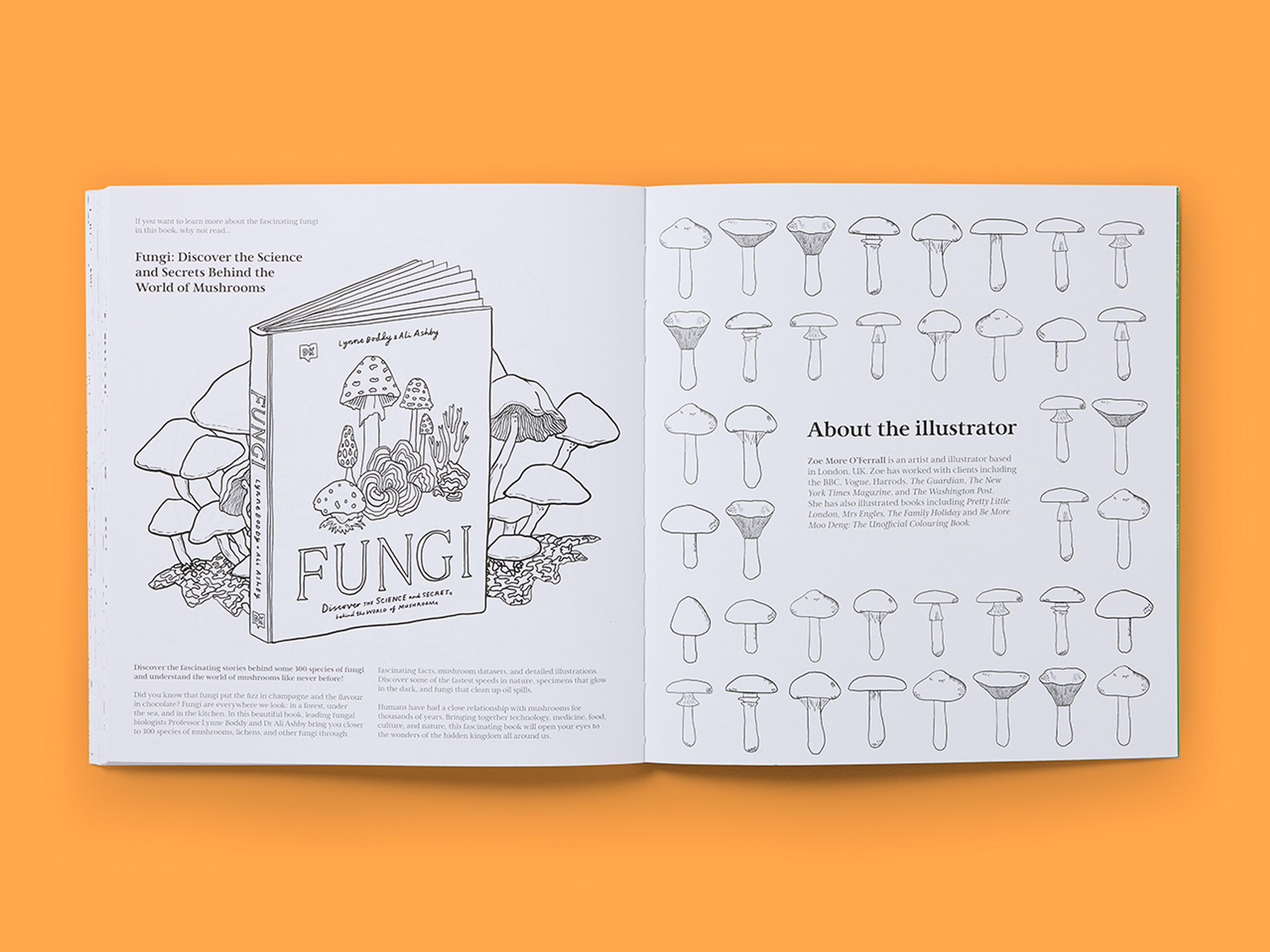 Open spreads from Natural Wonders: Fungi Colouring Book with line drawings of various mushrooms.