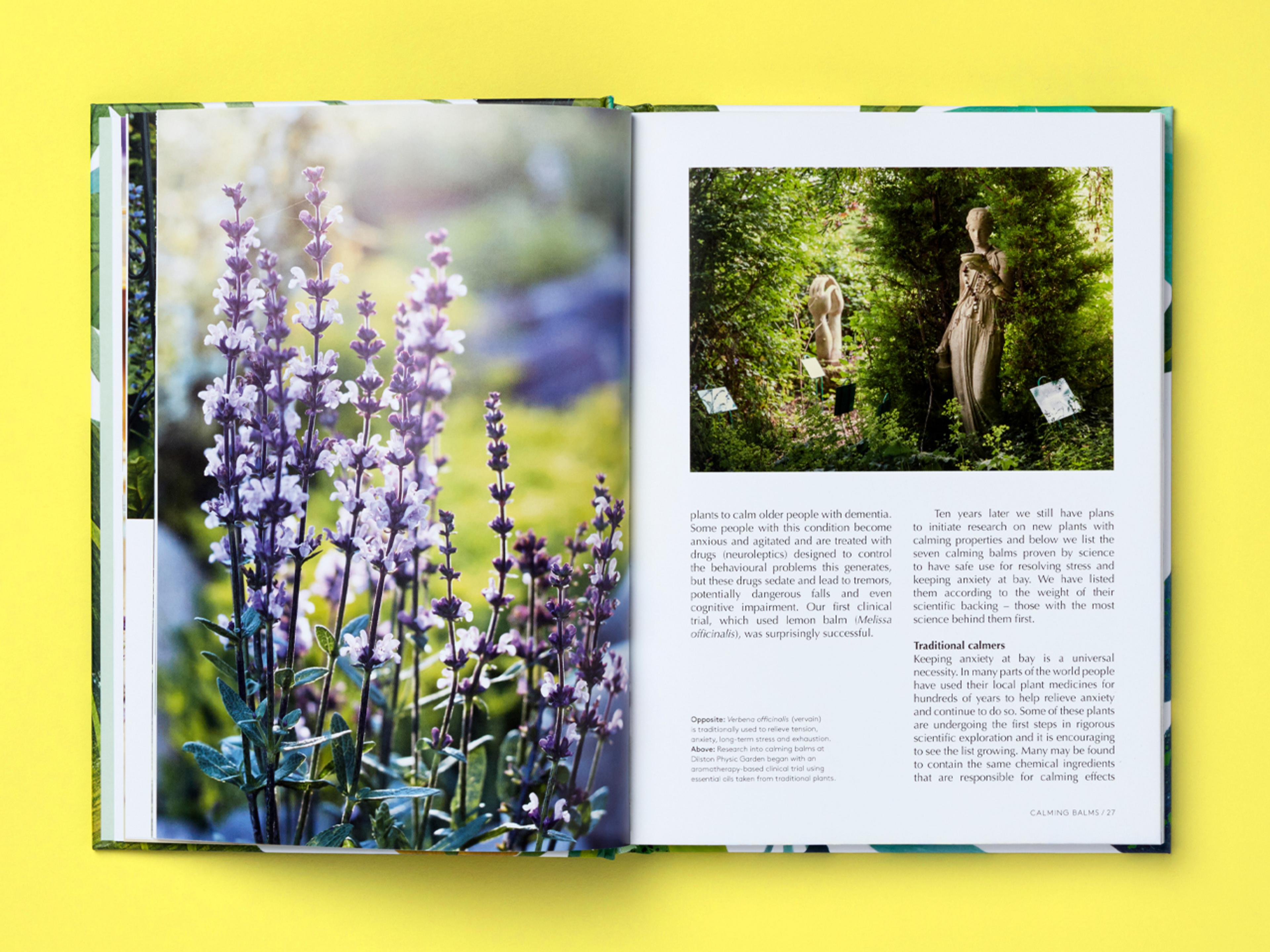 Open spread of the book Botanical Brain Balms.