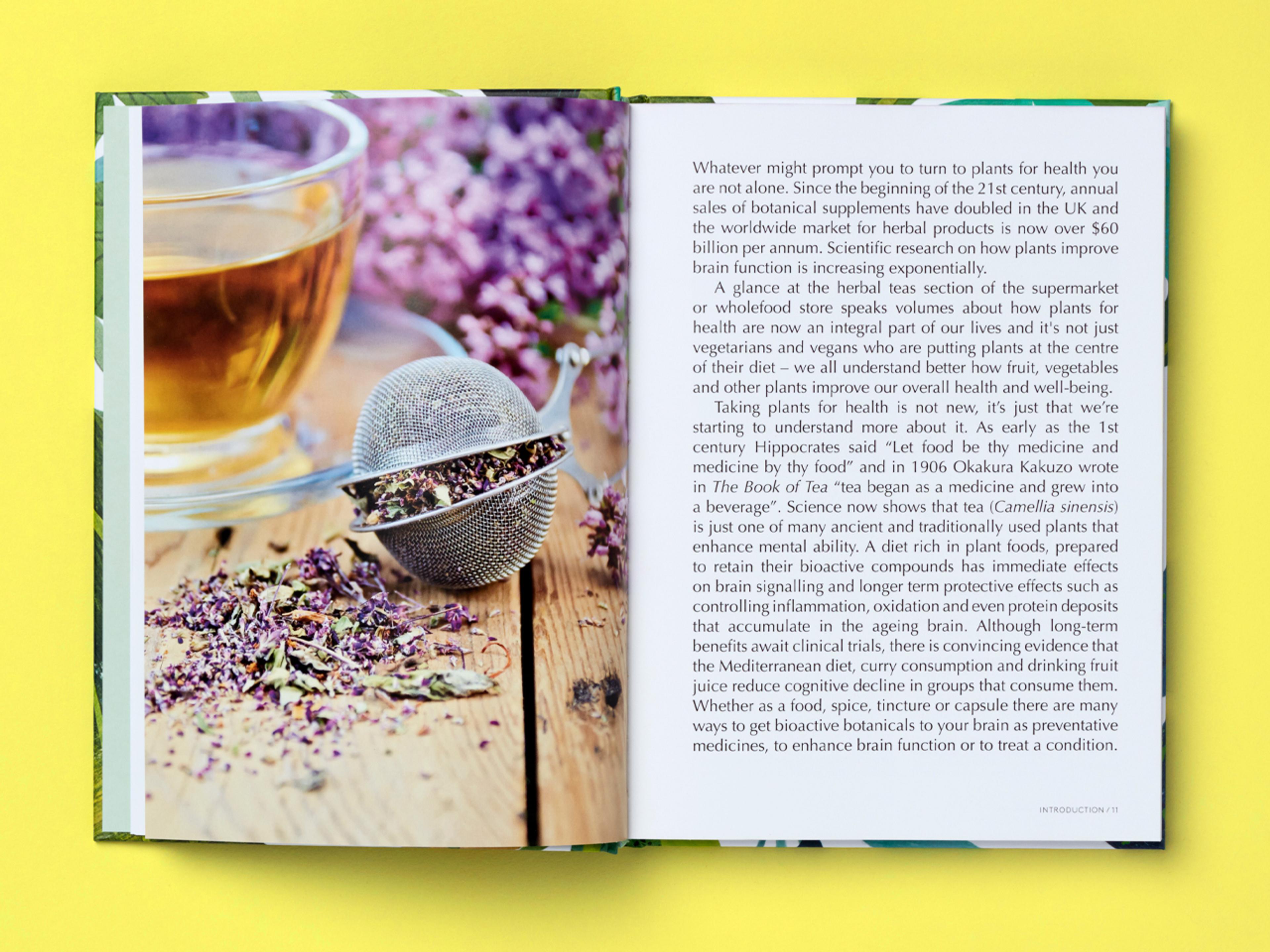 Open spread of the book Botanical Brain Balms.