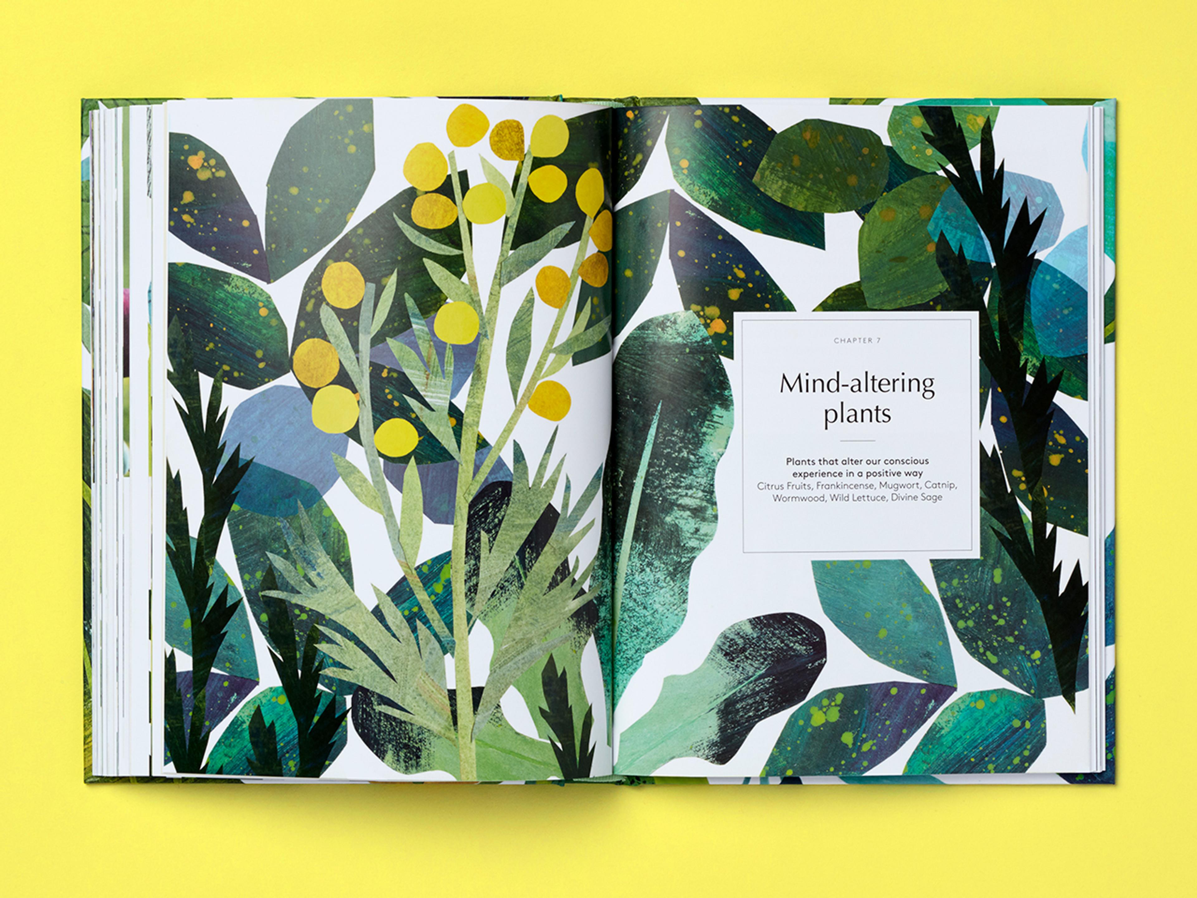 Open spread of the book Botanical Brain Balms.