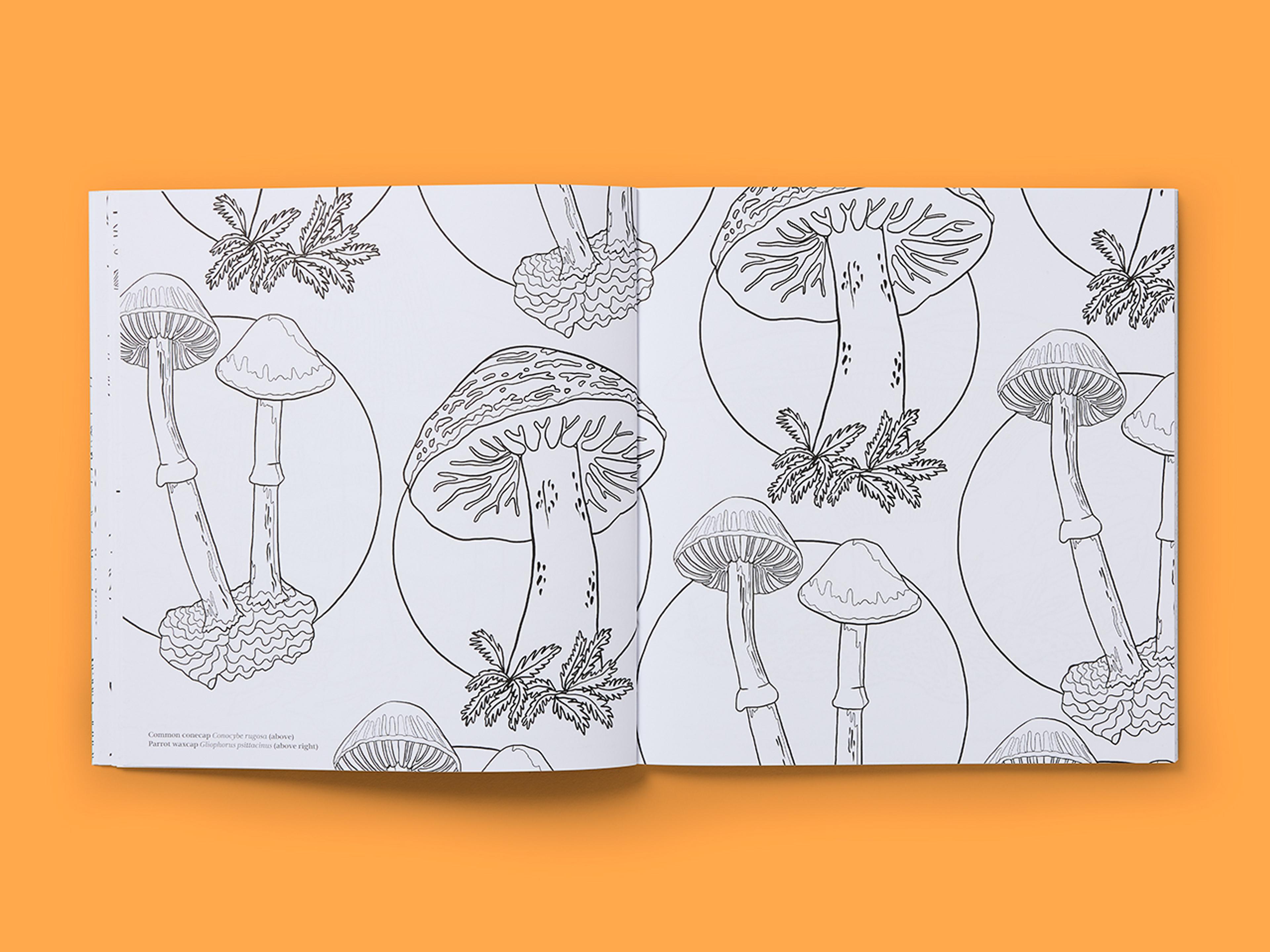 Open spreads from Natural Wonders: Fungi Colouring Book with line drawings of various mushrooms.