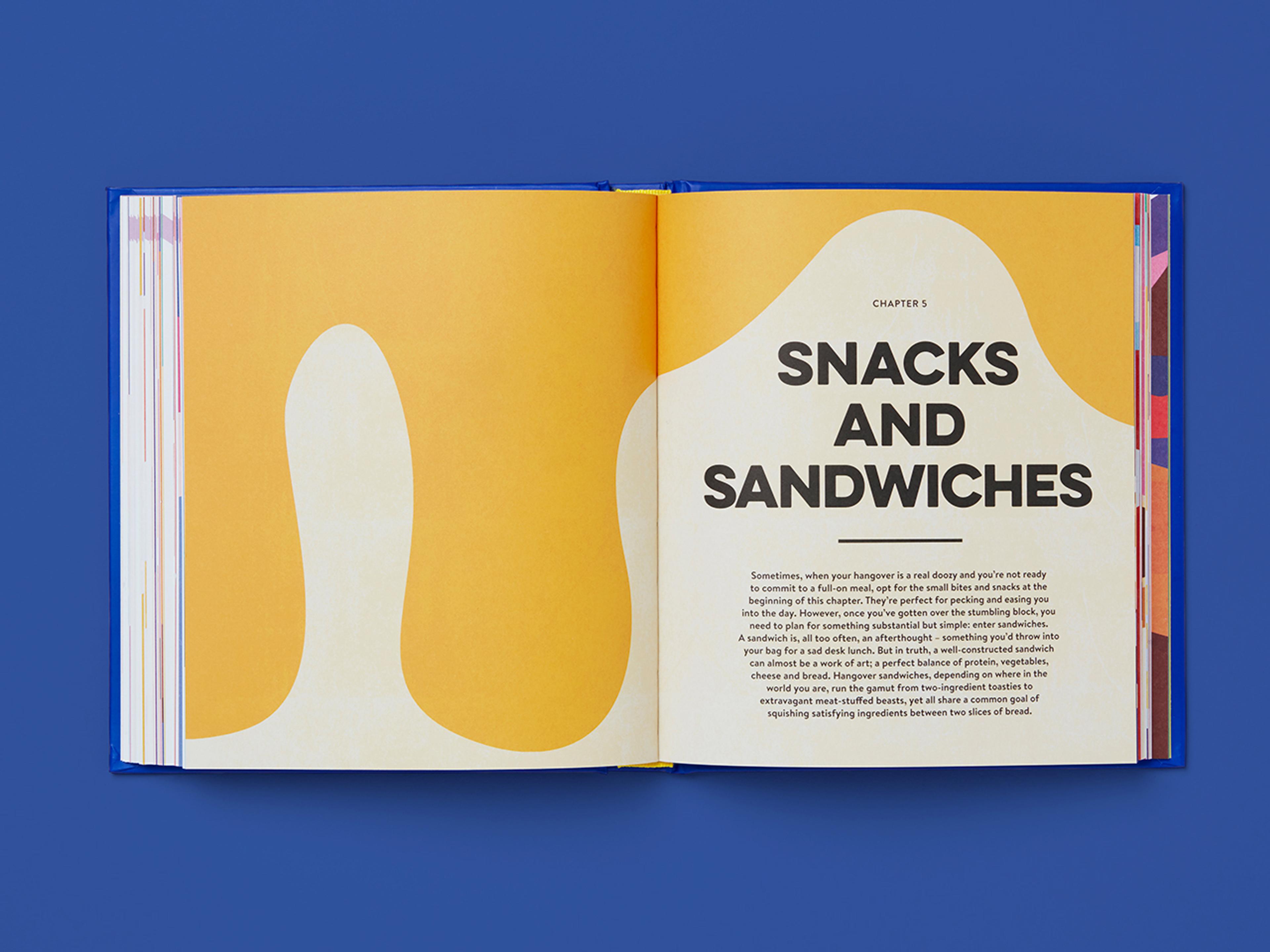 Chapter opener from the Hangover Helper book with explanatory text.