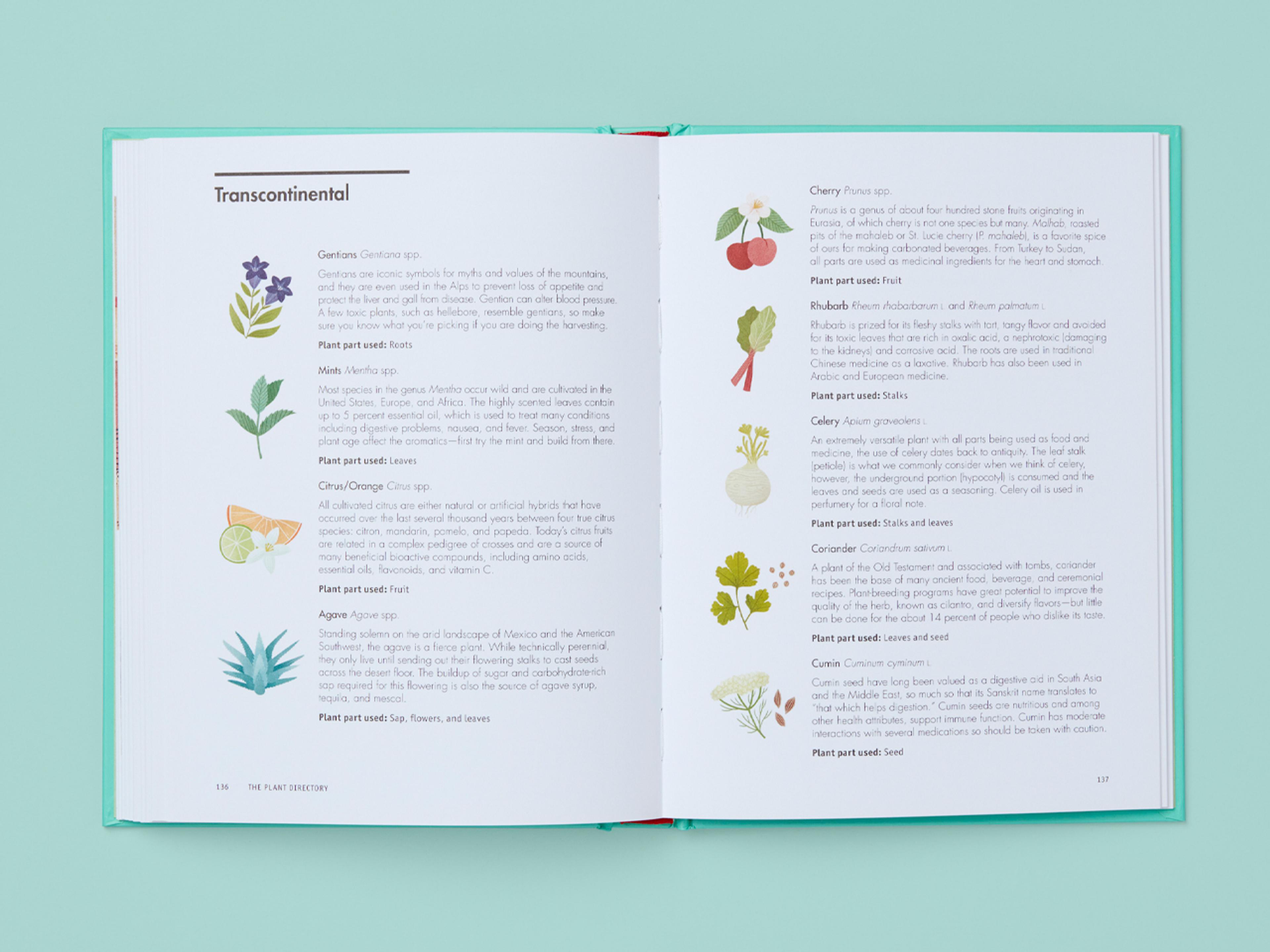 Open book spread from Botany at the Bar showing a plant directory section titled “Transcontinental.” Left page lists entries including gentians, mint, citrus, and agave with small botanical illustrations and notes on plant parts used. Right page features illustrated entries for cherry, rhubarb, celery, coriander, and cumin, with accompanying descriptions and plant part usage.