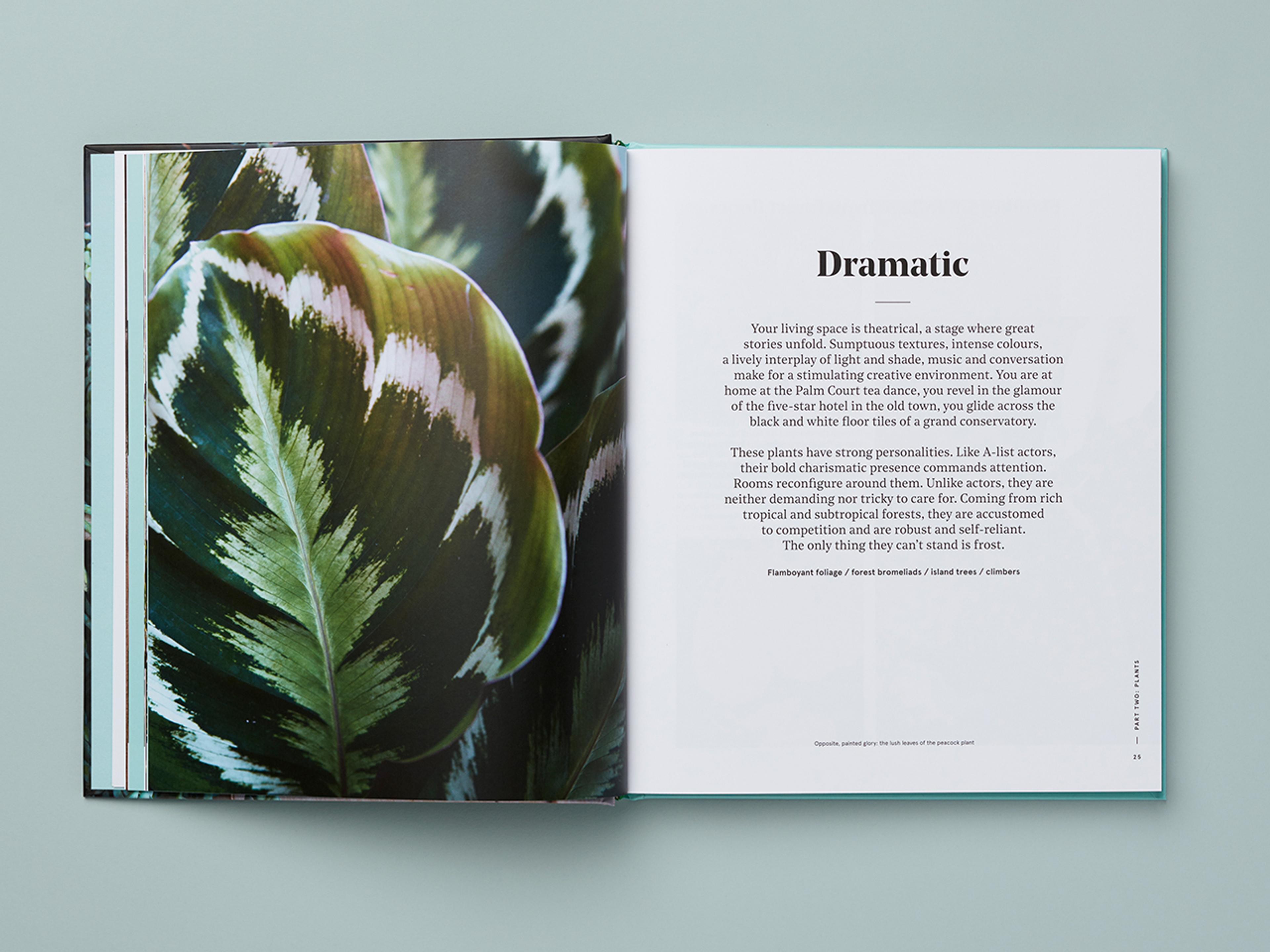 Open spread of Get Plants.