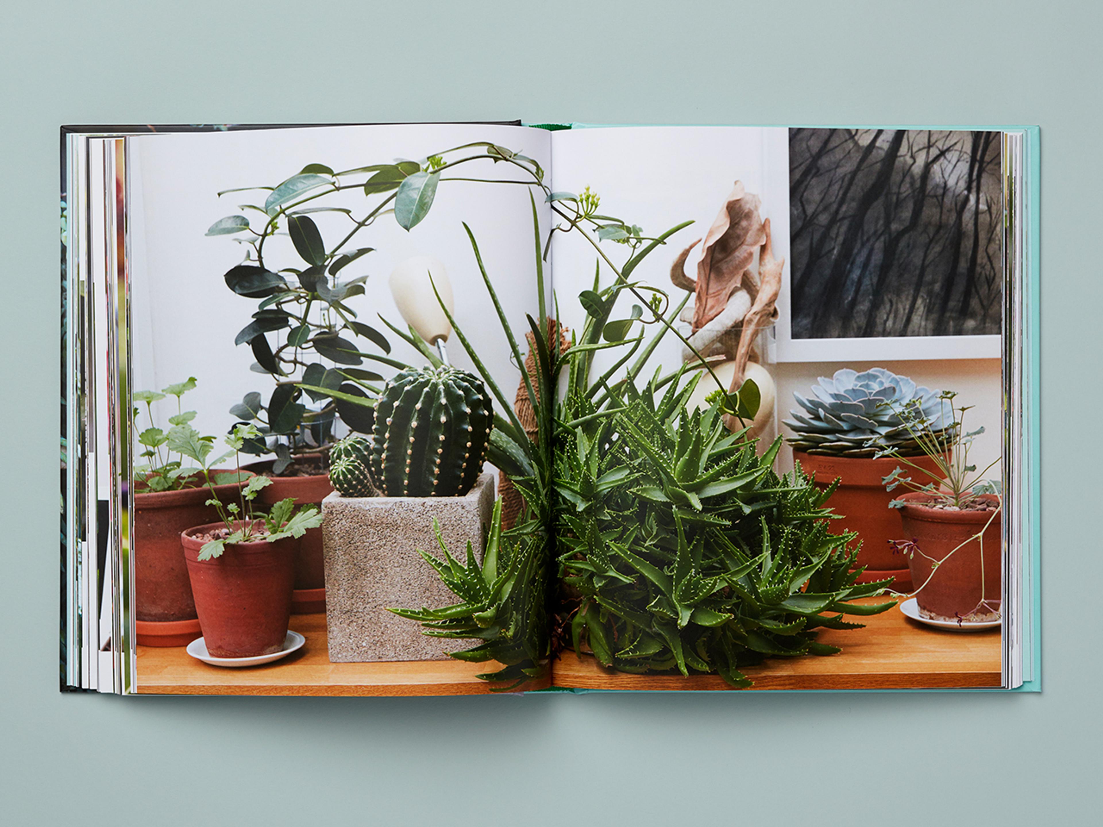 Open spread of Get Plants.