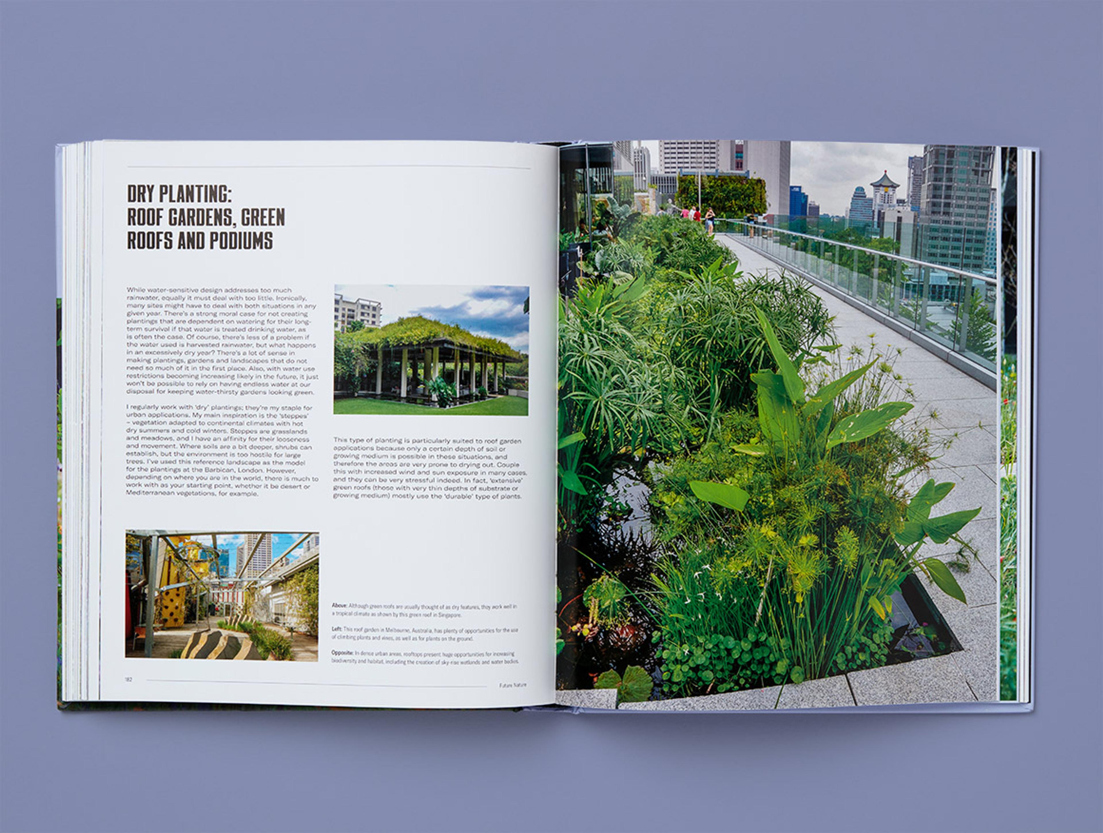 Open spread from Naturalistic Planting Design.