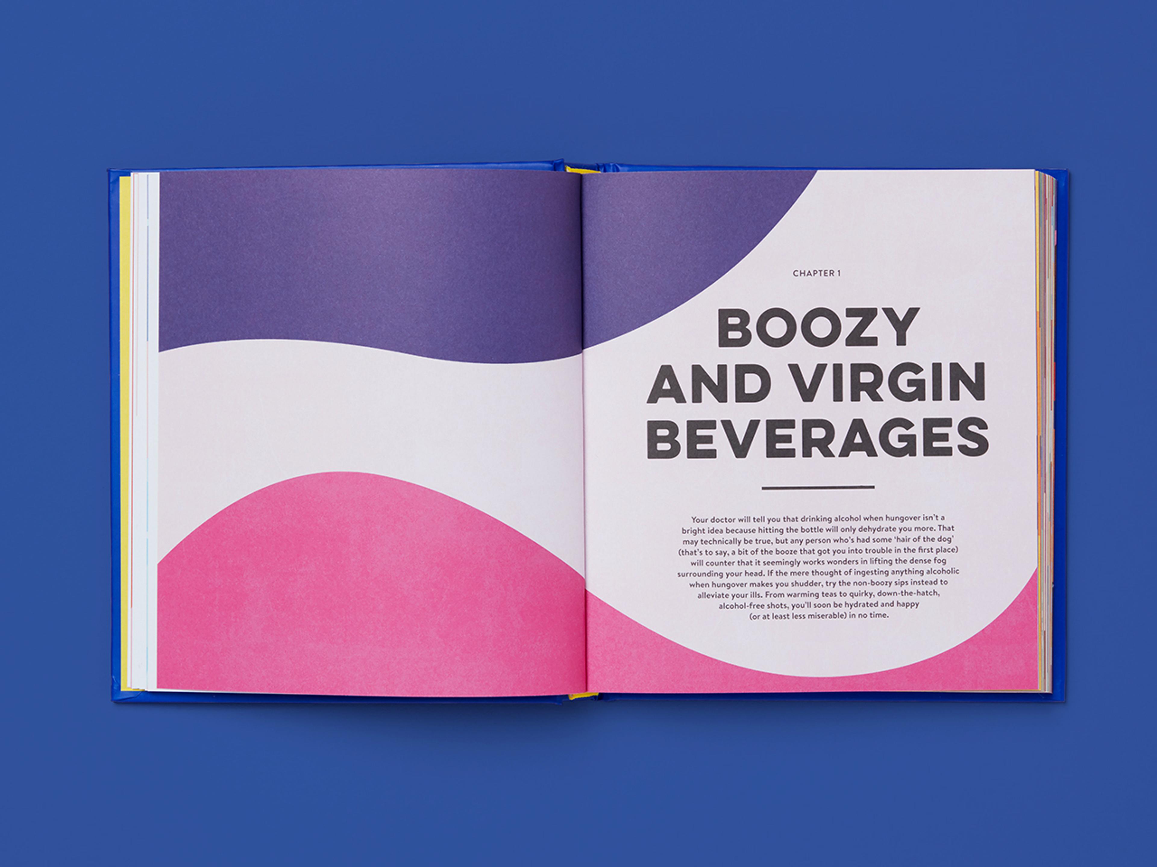Chapter opener from the Hangover Helper book with explanatory text.