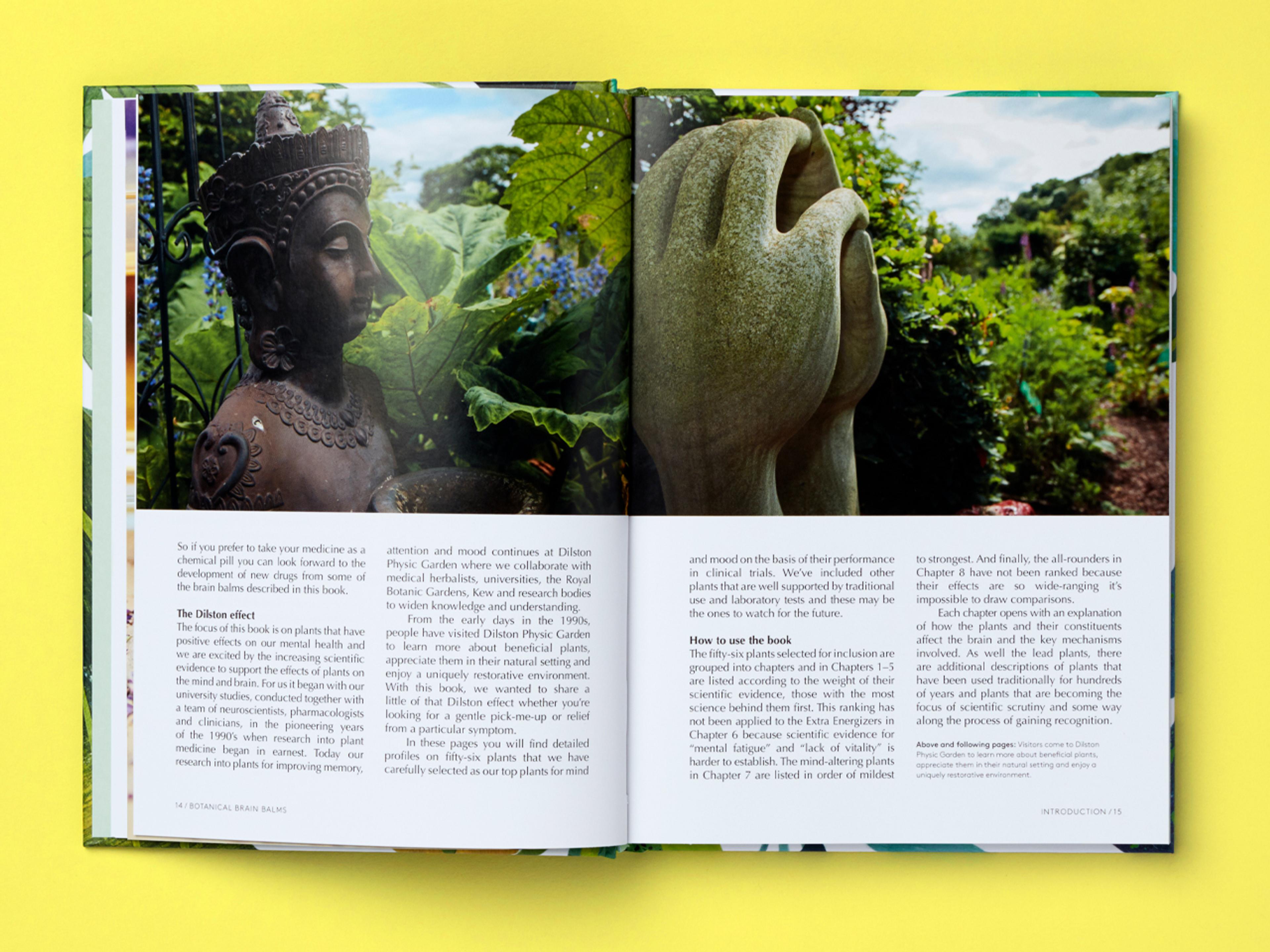 Open spread of the book Botanical Brain Balms.
