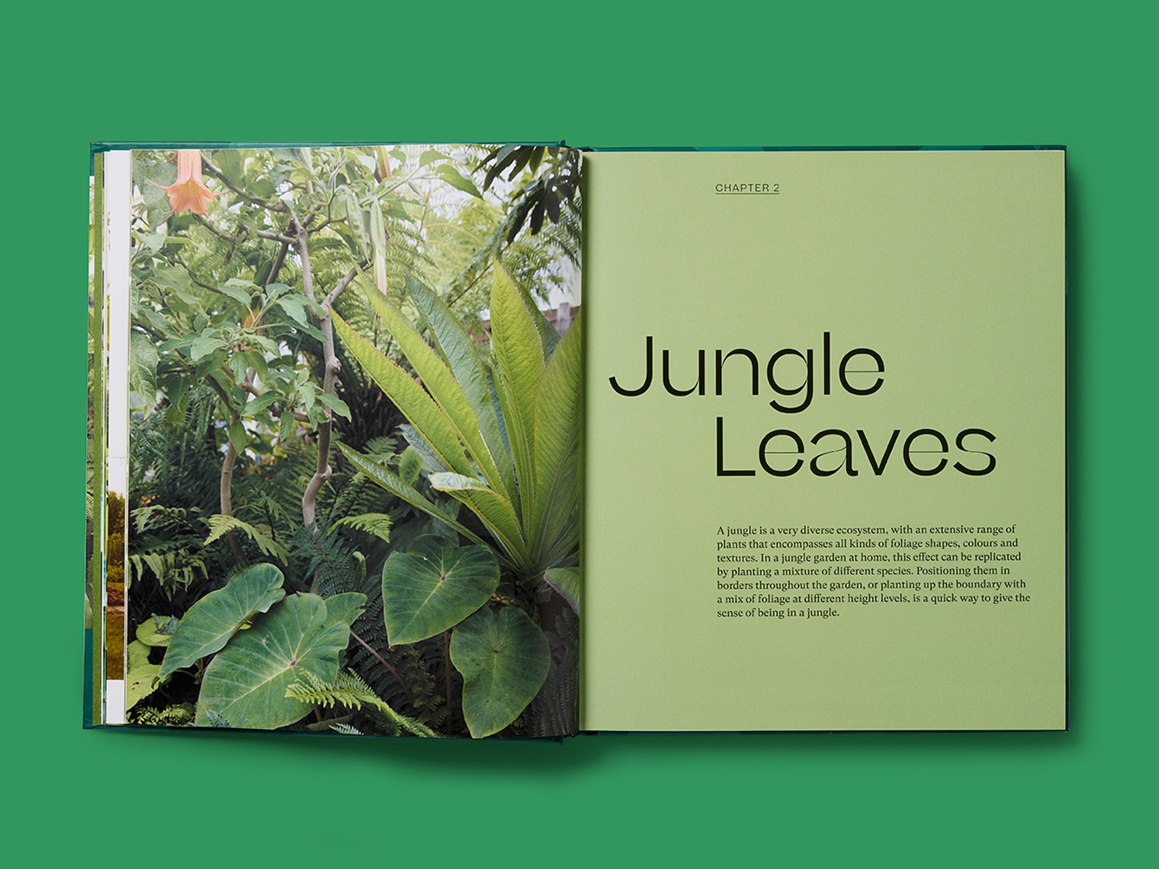 Open spread of The Jungle Garden showing Chapter 2 titled "Jungle Leaves" with a photograph of tropical foliage.