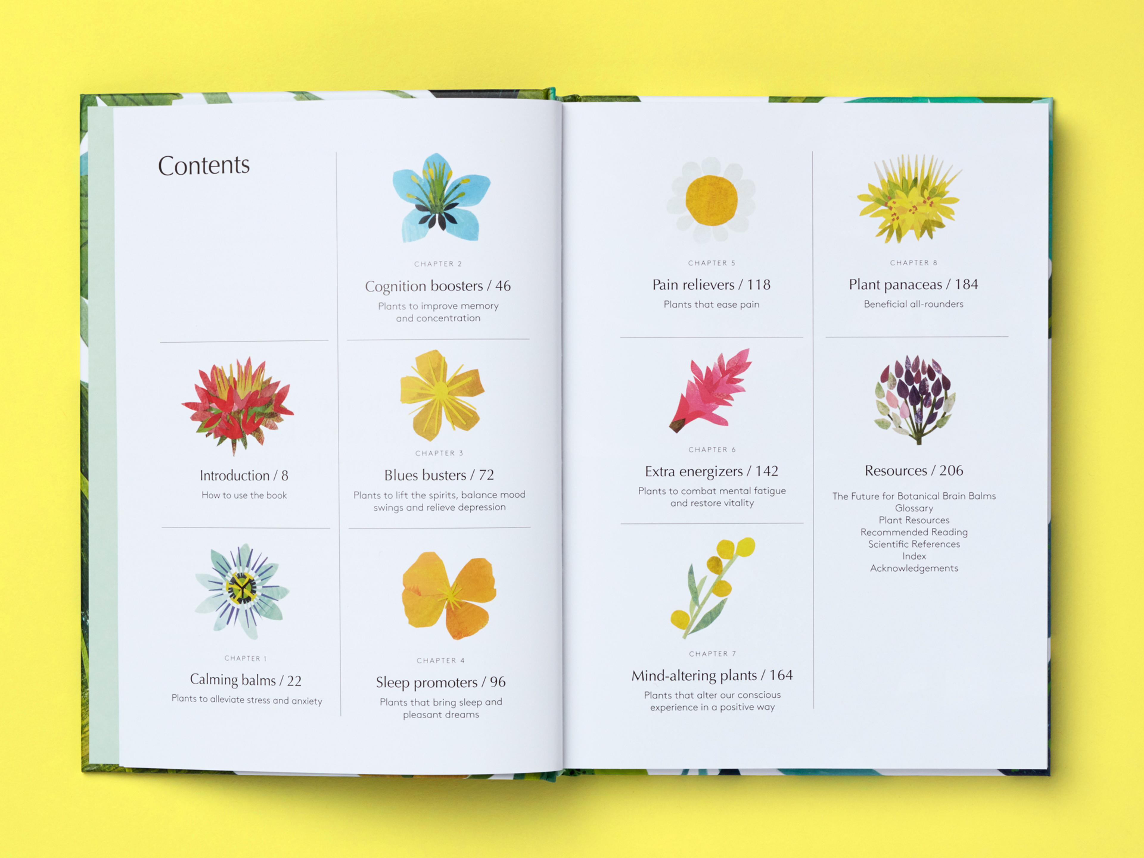 Open spread of the book Botanical Brain Balms.