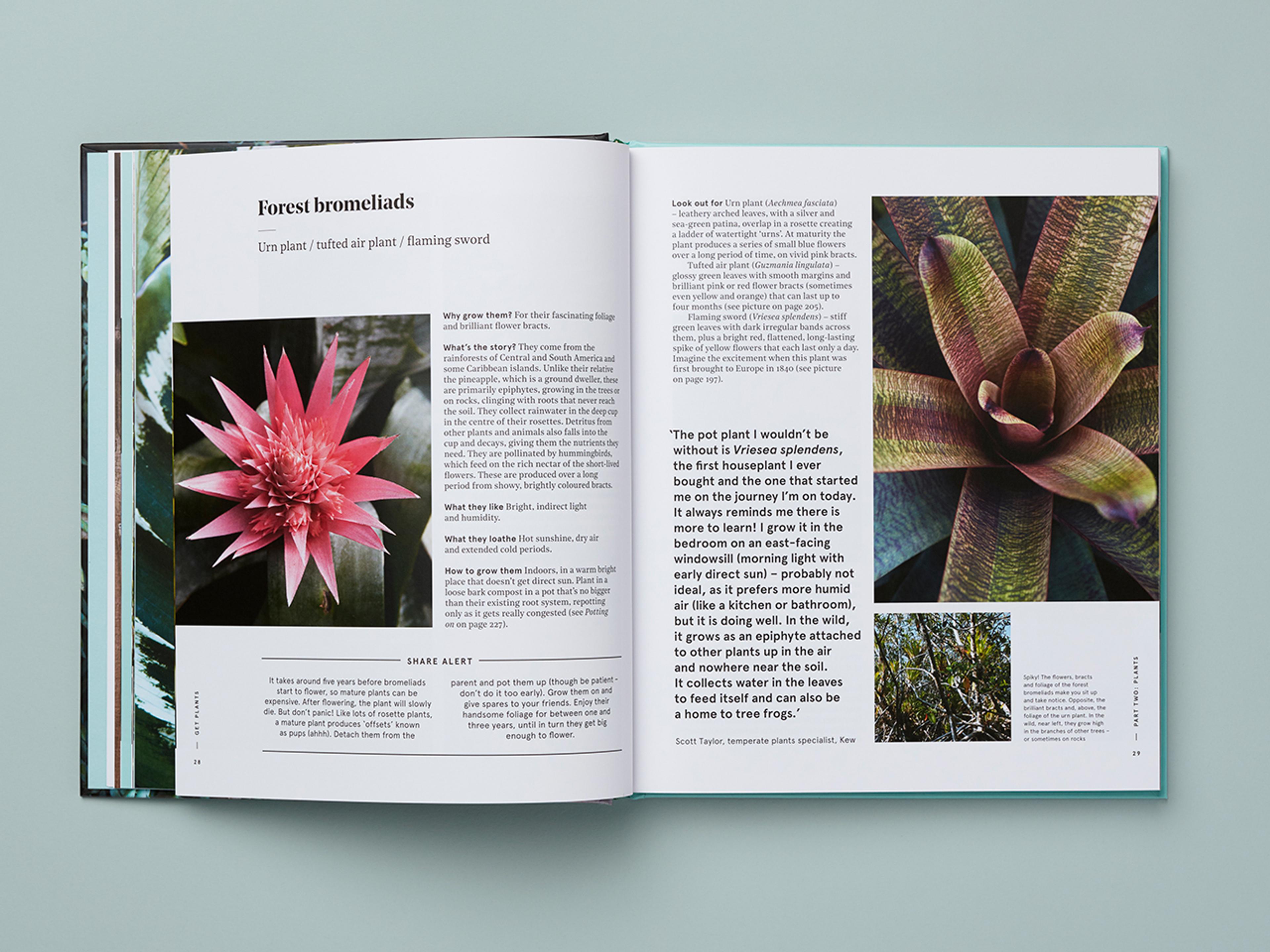 Open spread of Get Plants.