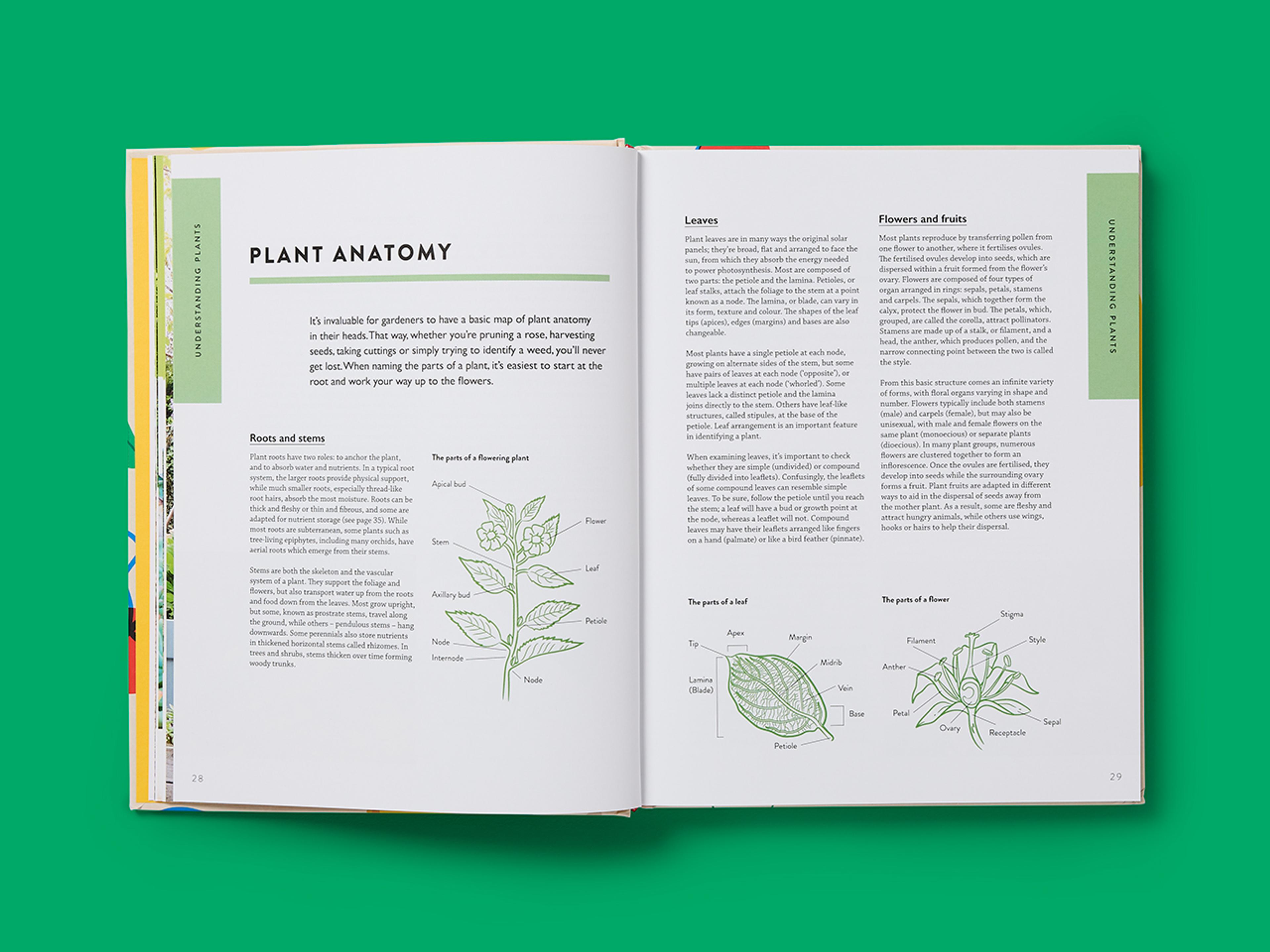 Open spreads from the RHS Gardening School with illustration of plants and explanatory text.