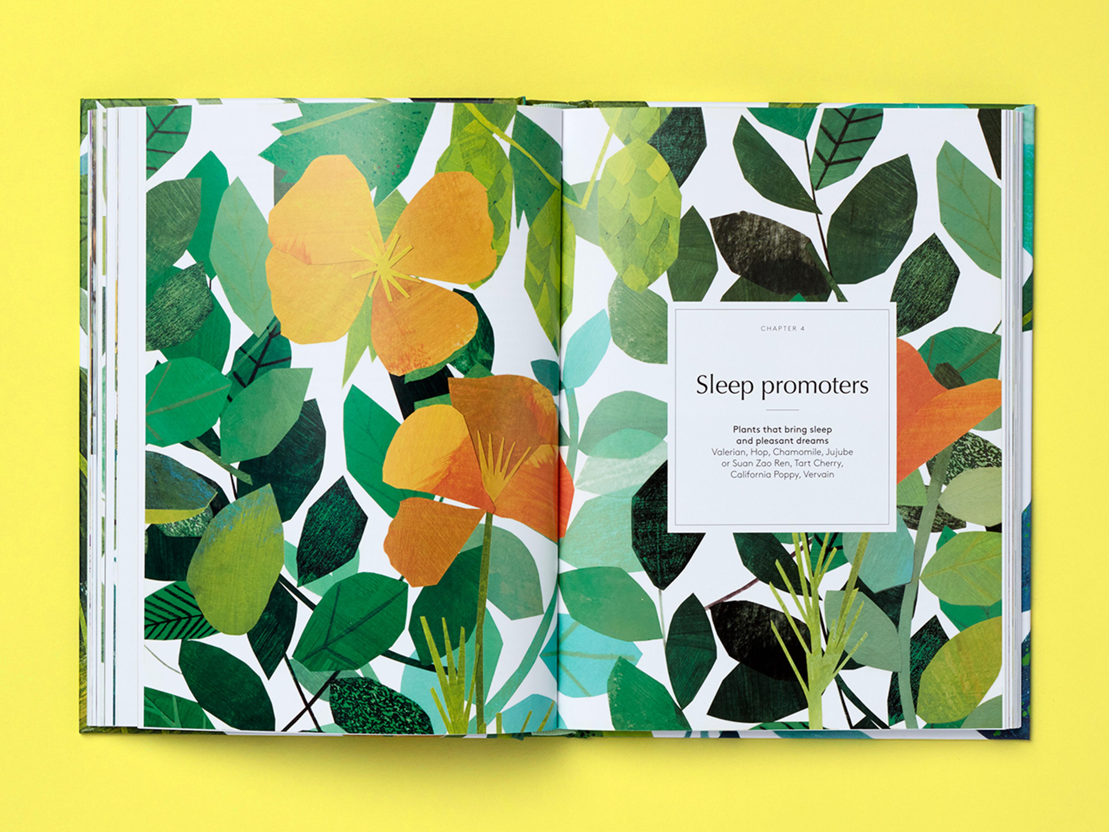 Open spread of the book Botanical Brain Balms.