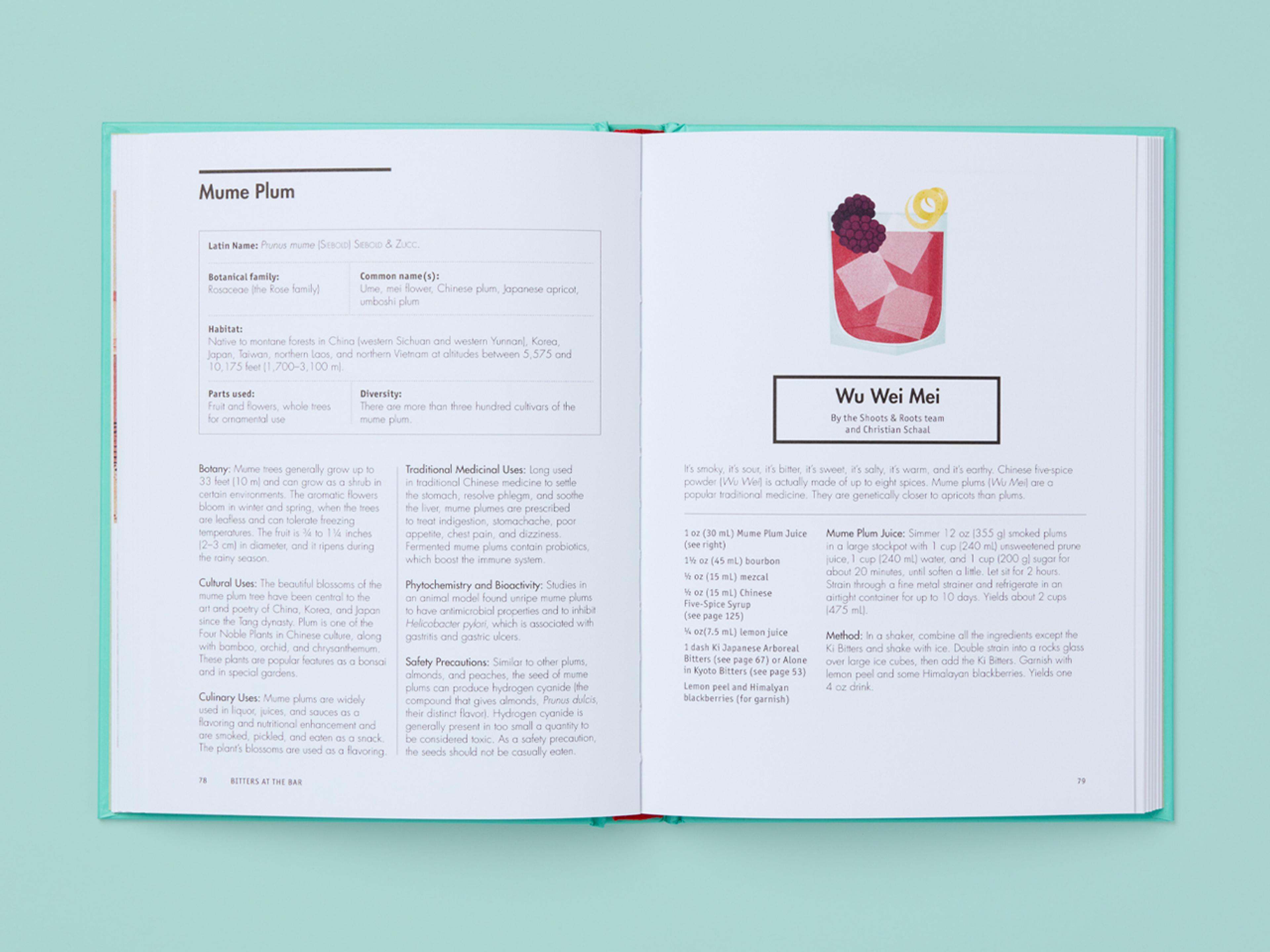 Open spread of the book Botany at the Bar.