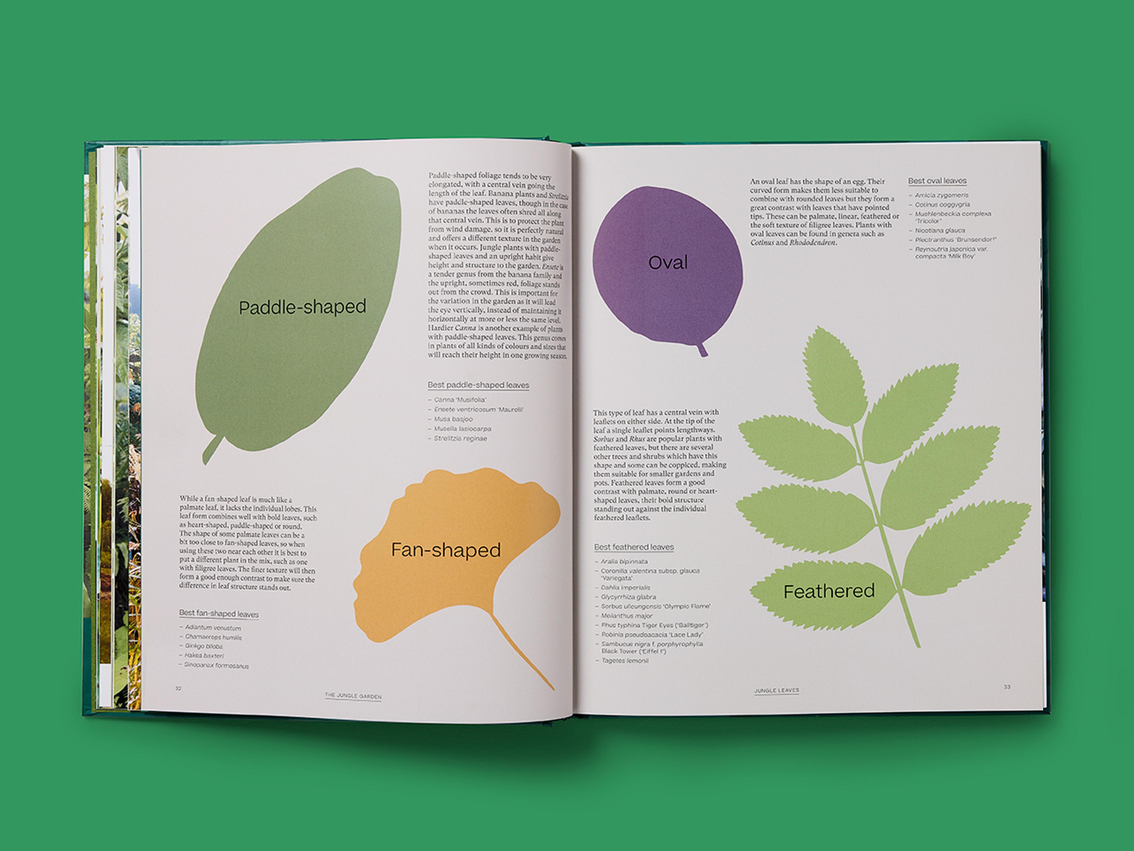 Open spread of The Jungle Garden showing illustrated leaf shapes.