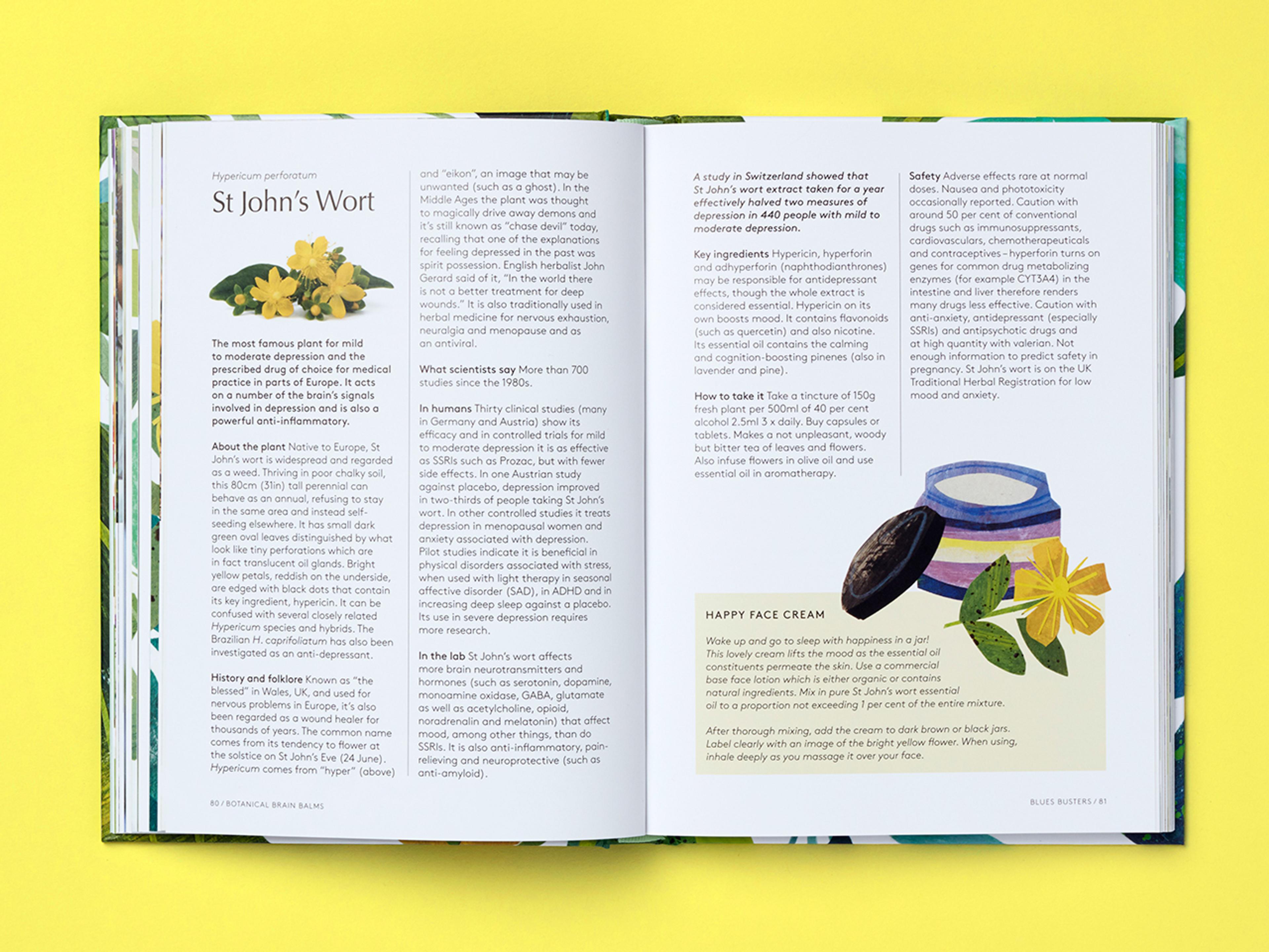 Open spread of the book Botanical Brain Balms.