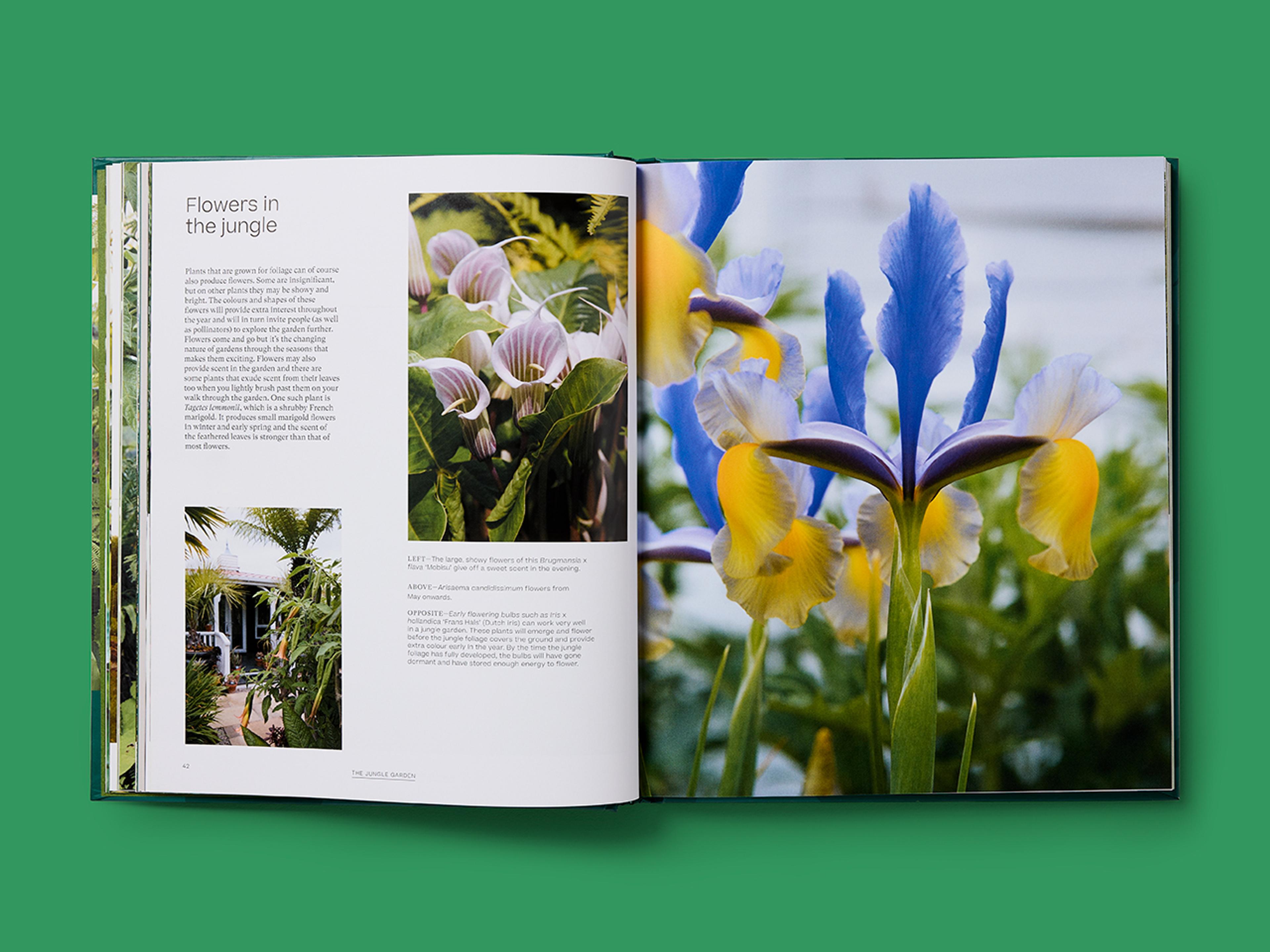 Open spread of The Jungle Garden titled "Flowers in the jungle" with text and photographs, including a full-page image of blue and yellow flowers.