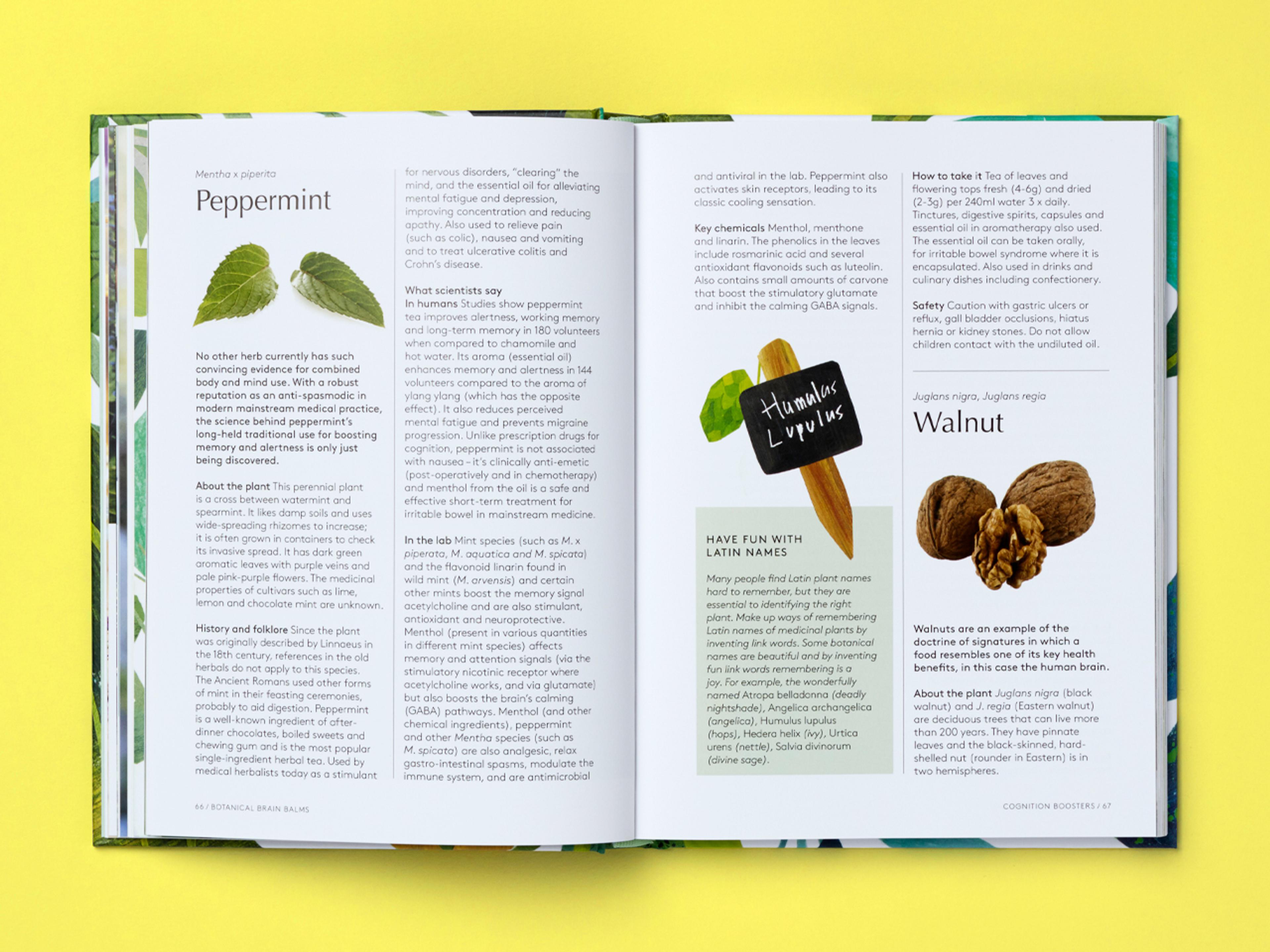 Open spread of the book Botanical Brain Balms.