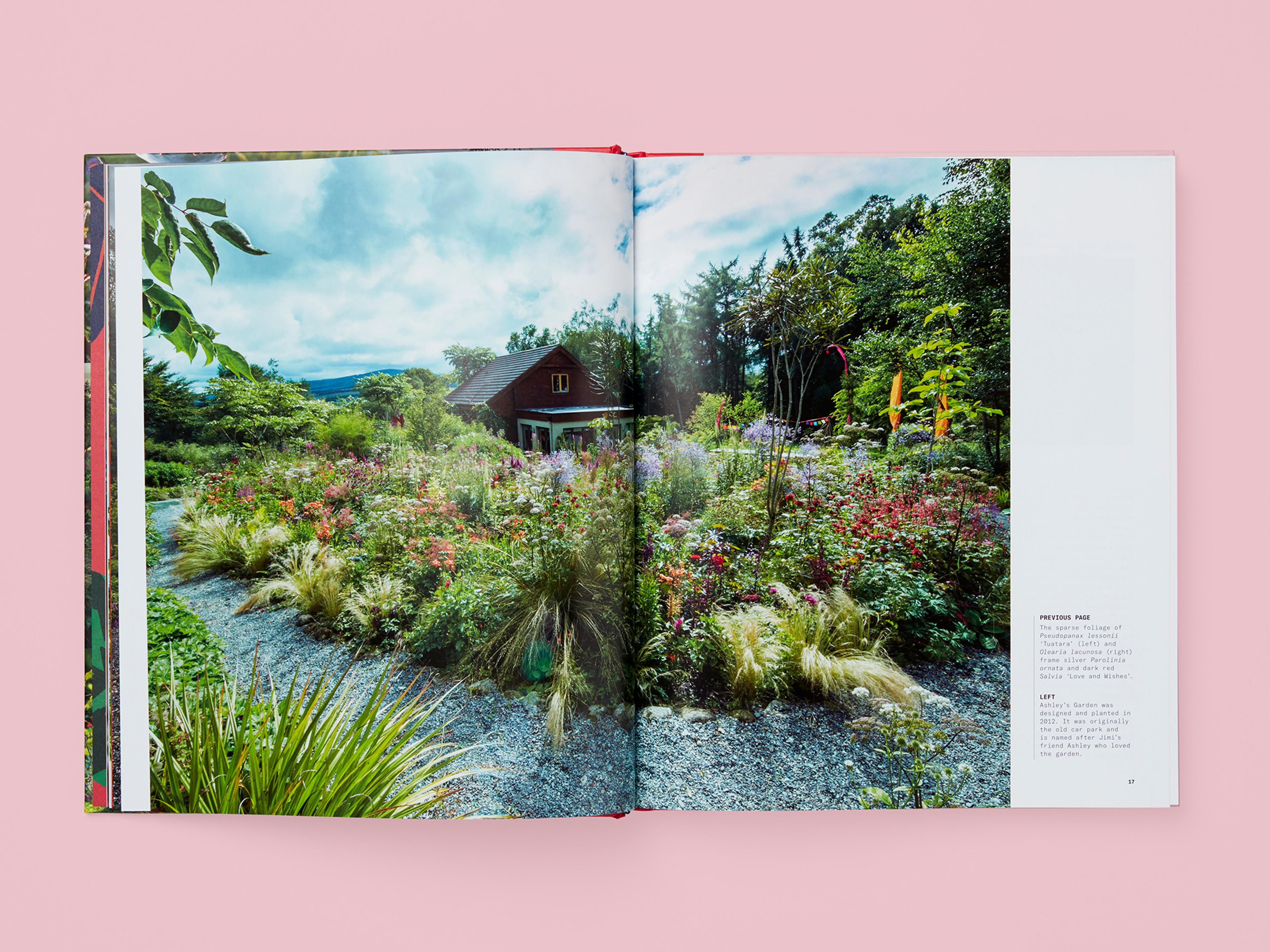 Open spread from the book A Beautiful Obsession.