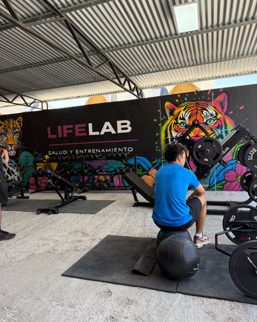 Gimnasio