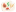 mat
