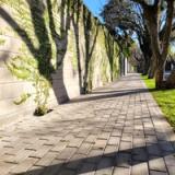 Holanda Gris - imagen 2